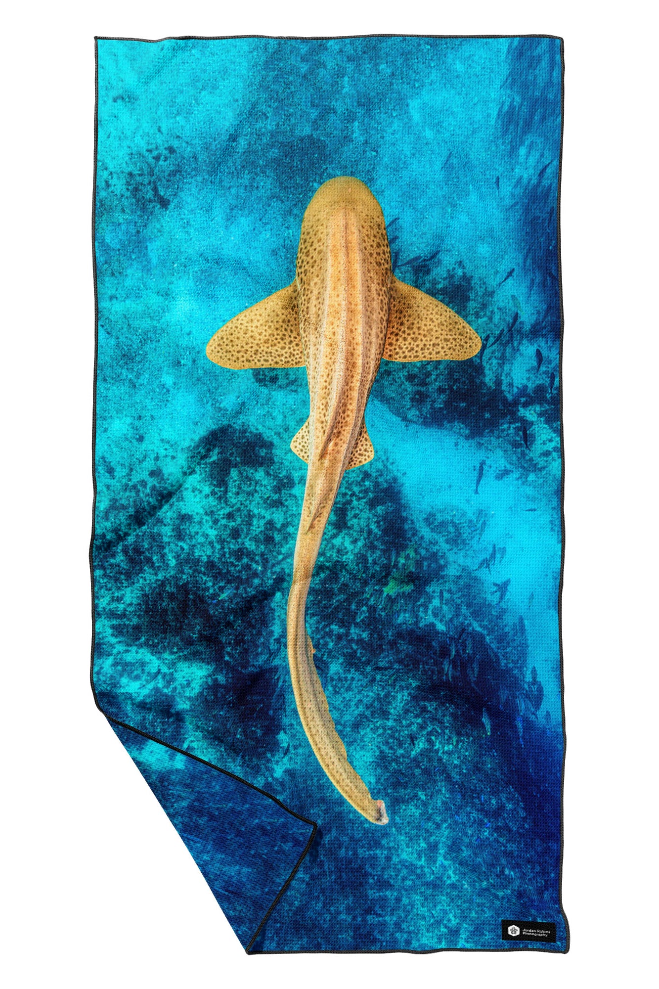 Leopard Shark | Julian Rocks Byron Bay - Beach Towel