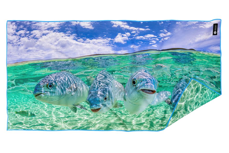 Friendly Fish Lord Howe Island – Beach Towel