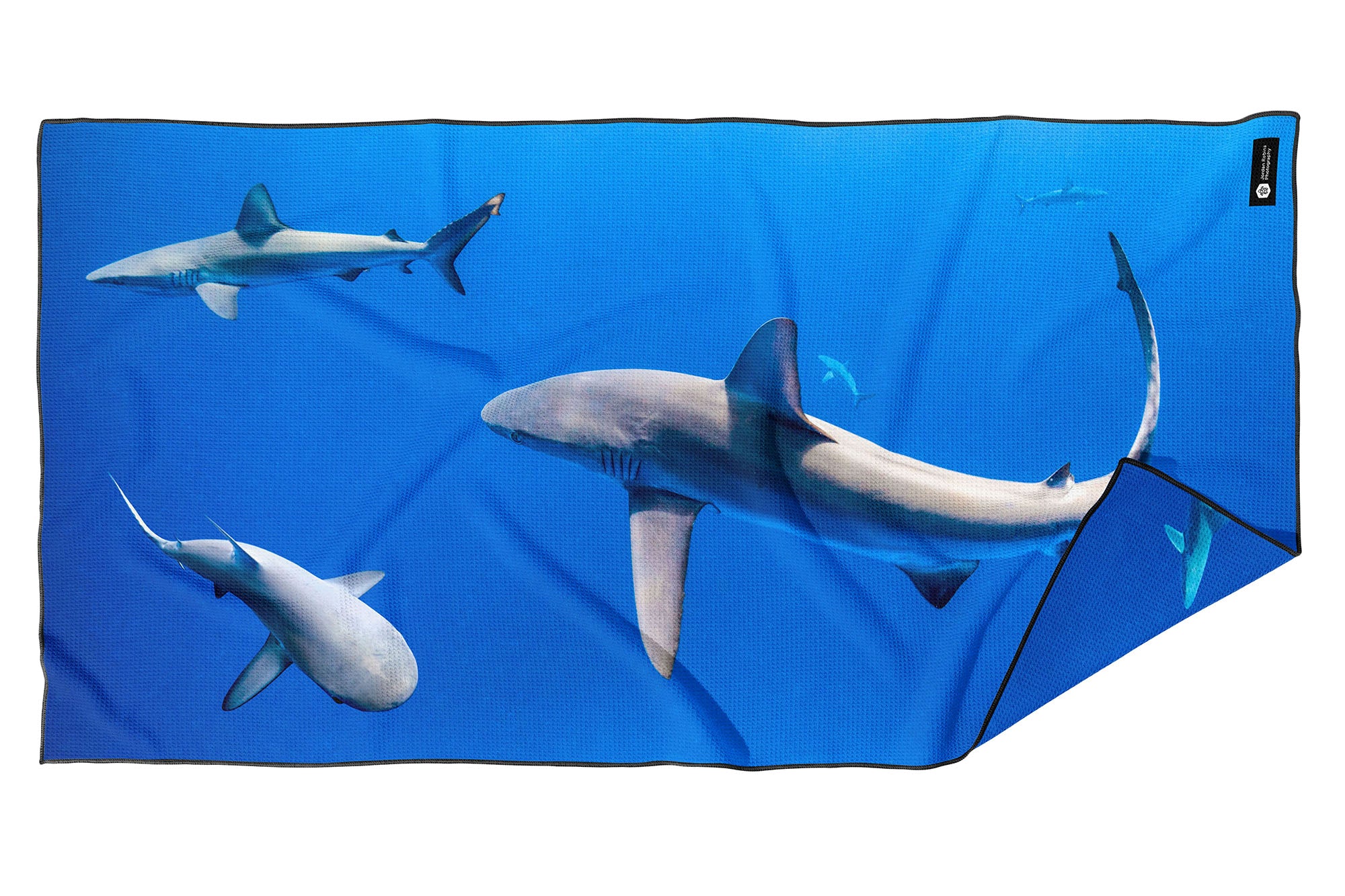 Galapagos Whaler Sharks Lord Howe Island – Beach Towel
