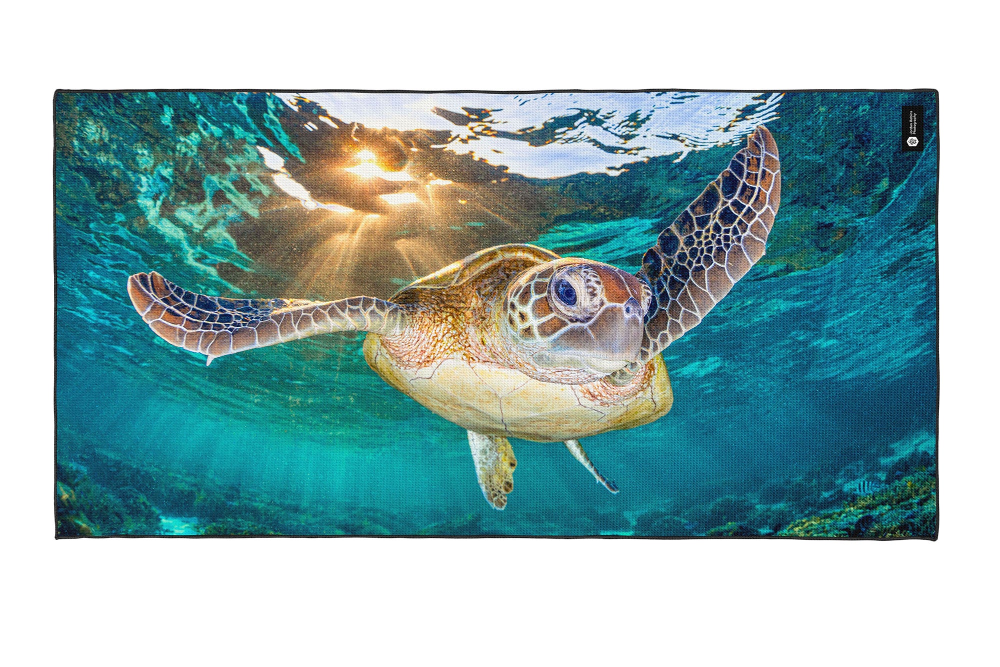Afternoon Light Turtle - Beach Towel