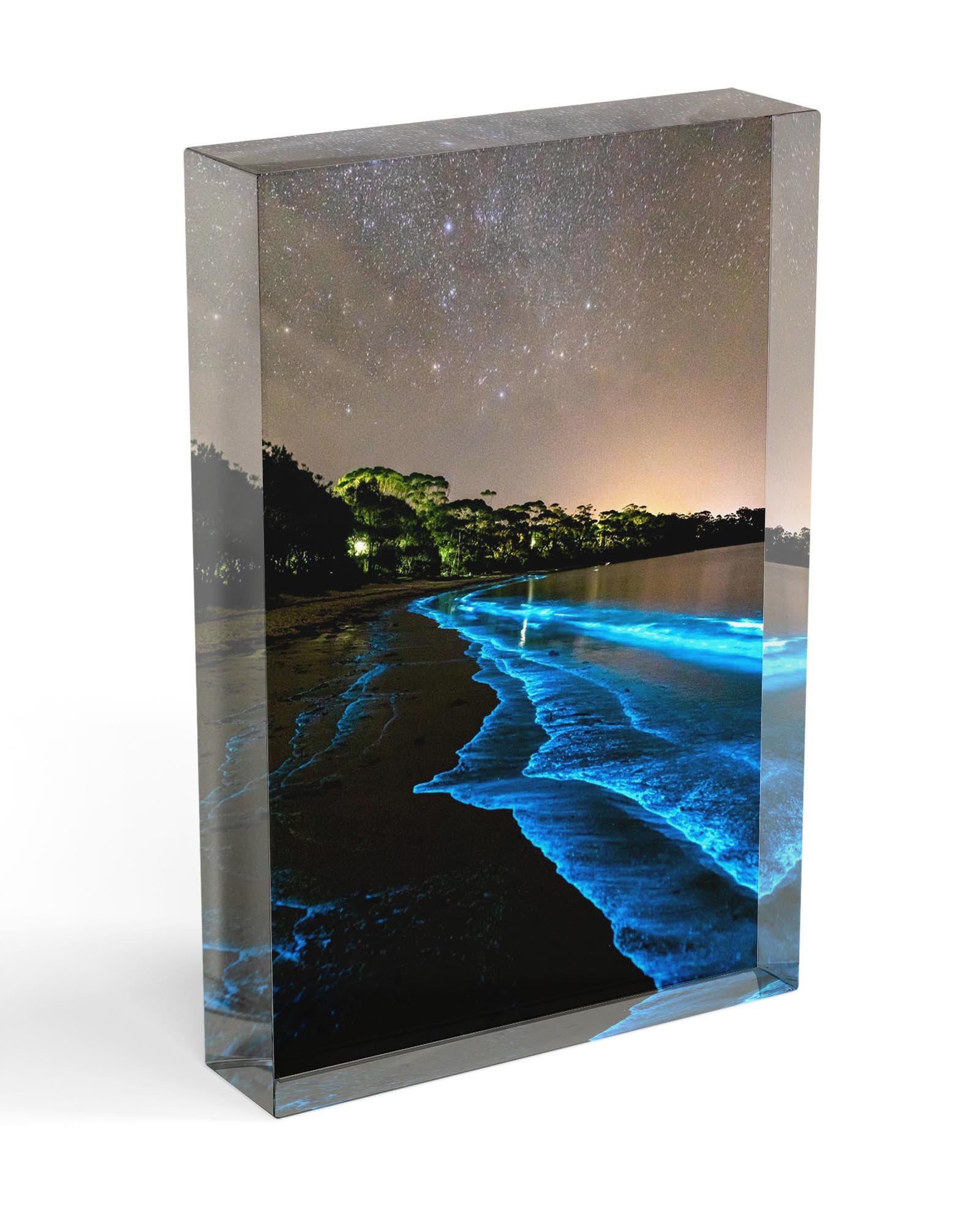 Bioluminescent waters | Vertical
