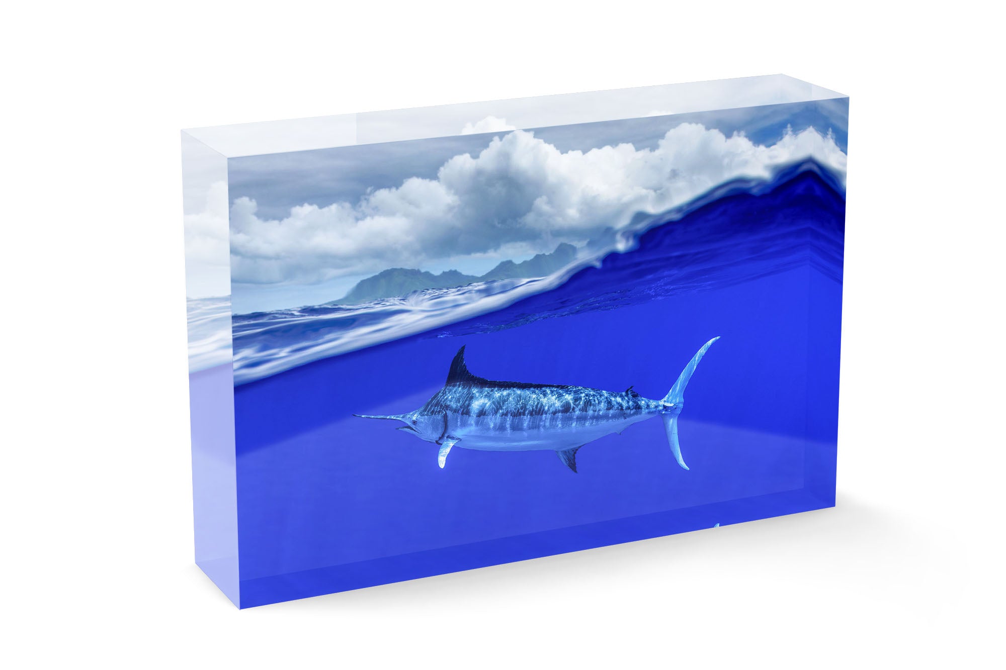 Over Under Blue Marlin