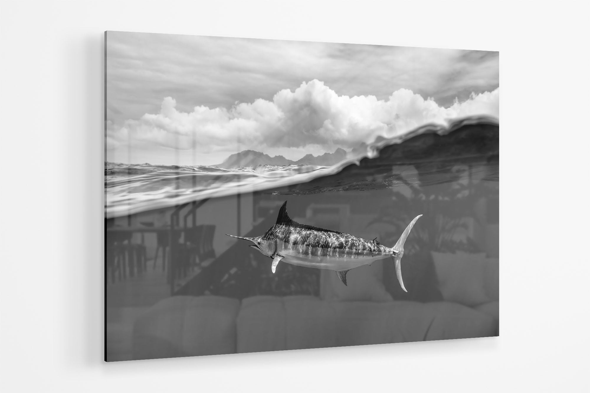 Blue Marlin Monochrome