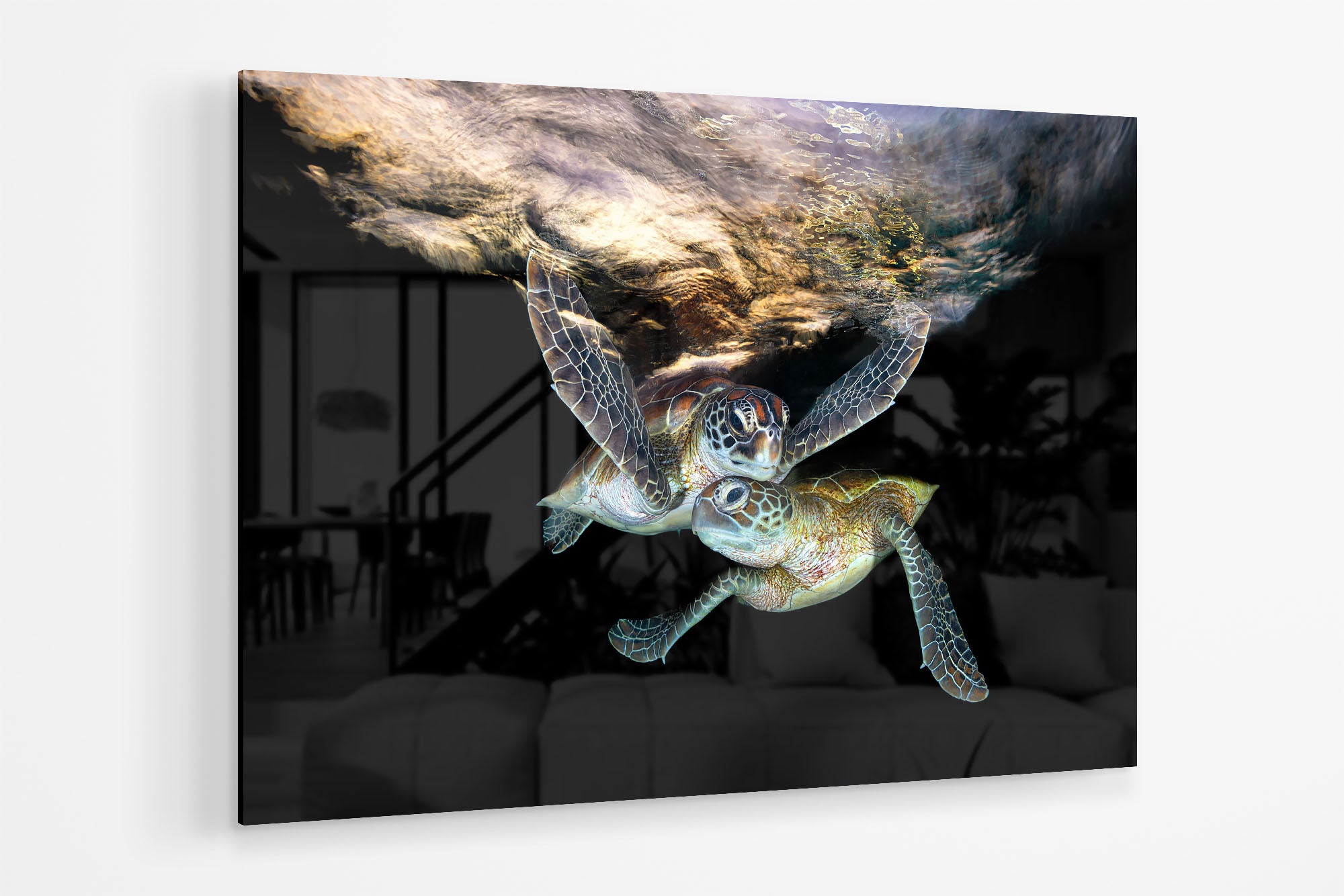 Double Trouble | Great Barrier Reef