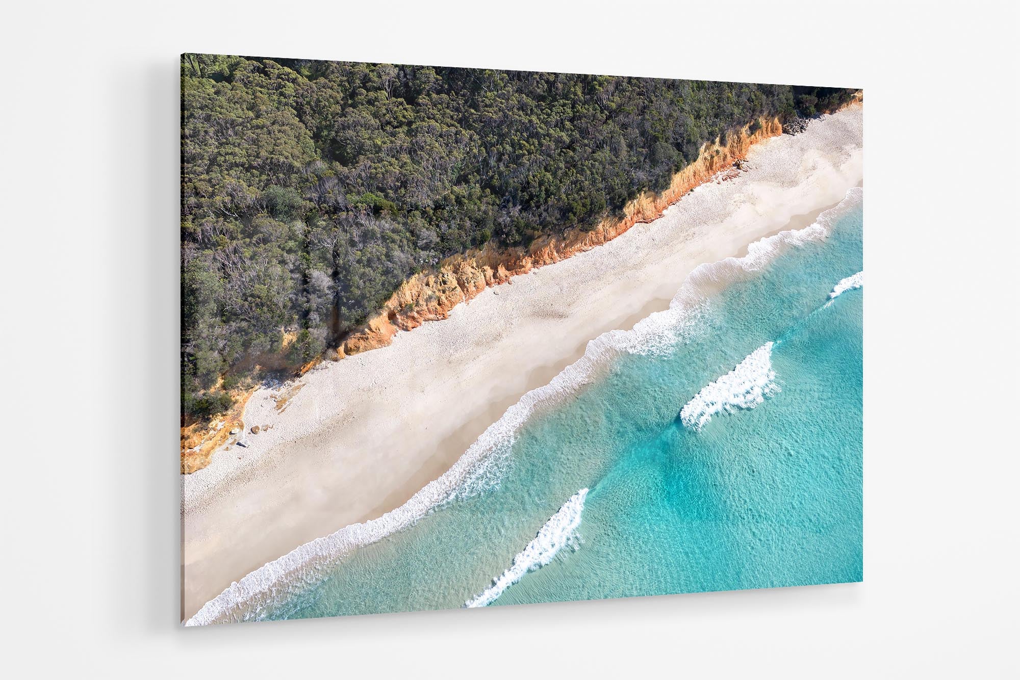 Nelsons Beach Bush Meets The Sea | Jervis Bay