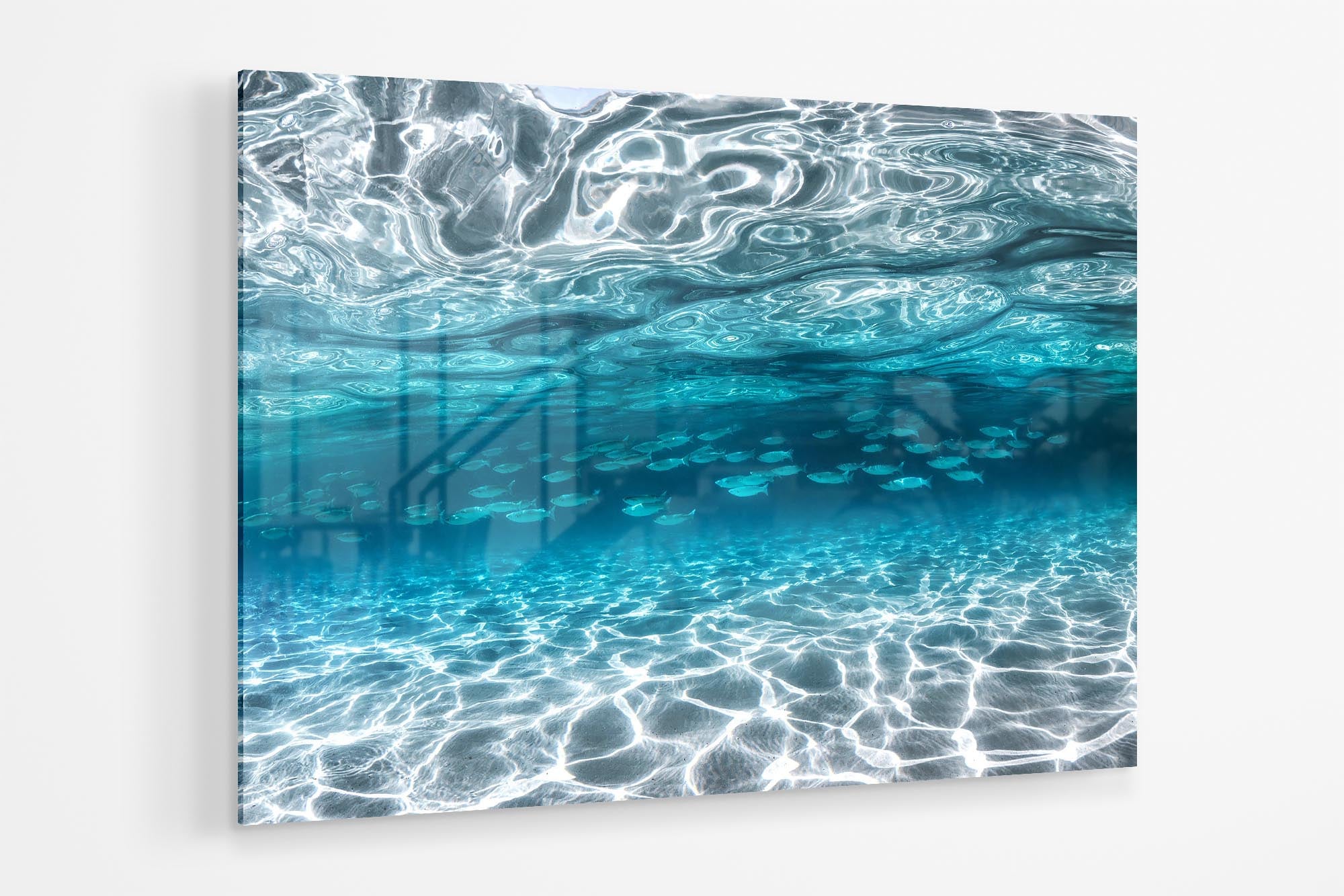 School of Fish Clarity | Jervis Bay