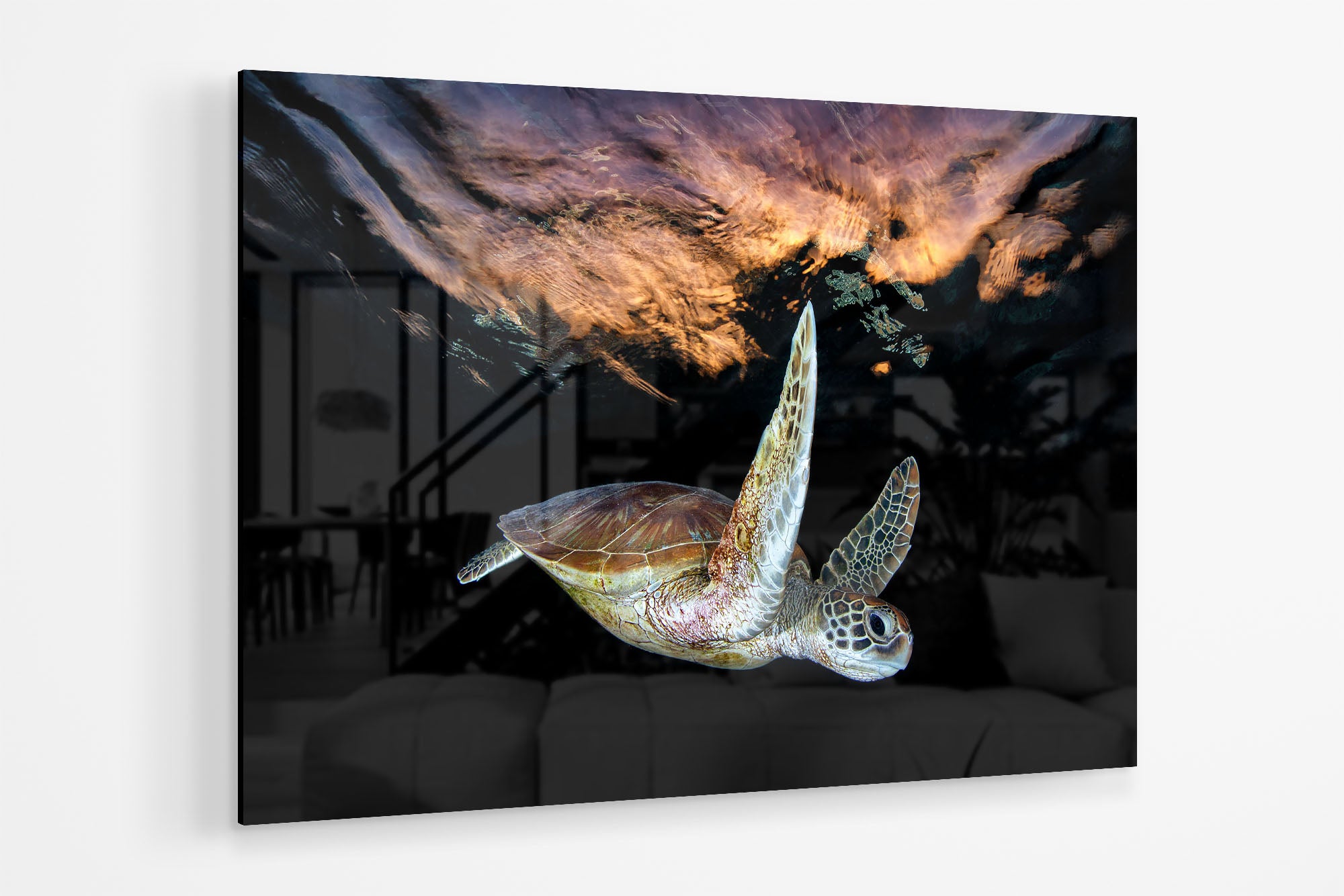 Turtle Sunset Tranquility | Great Barrier Reef