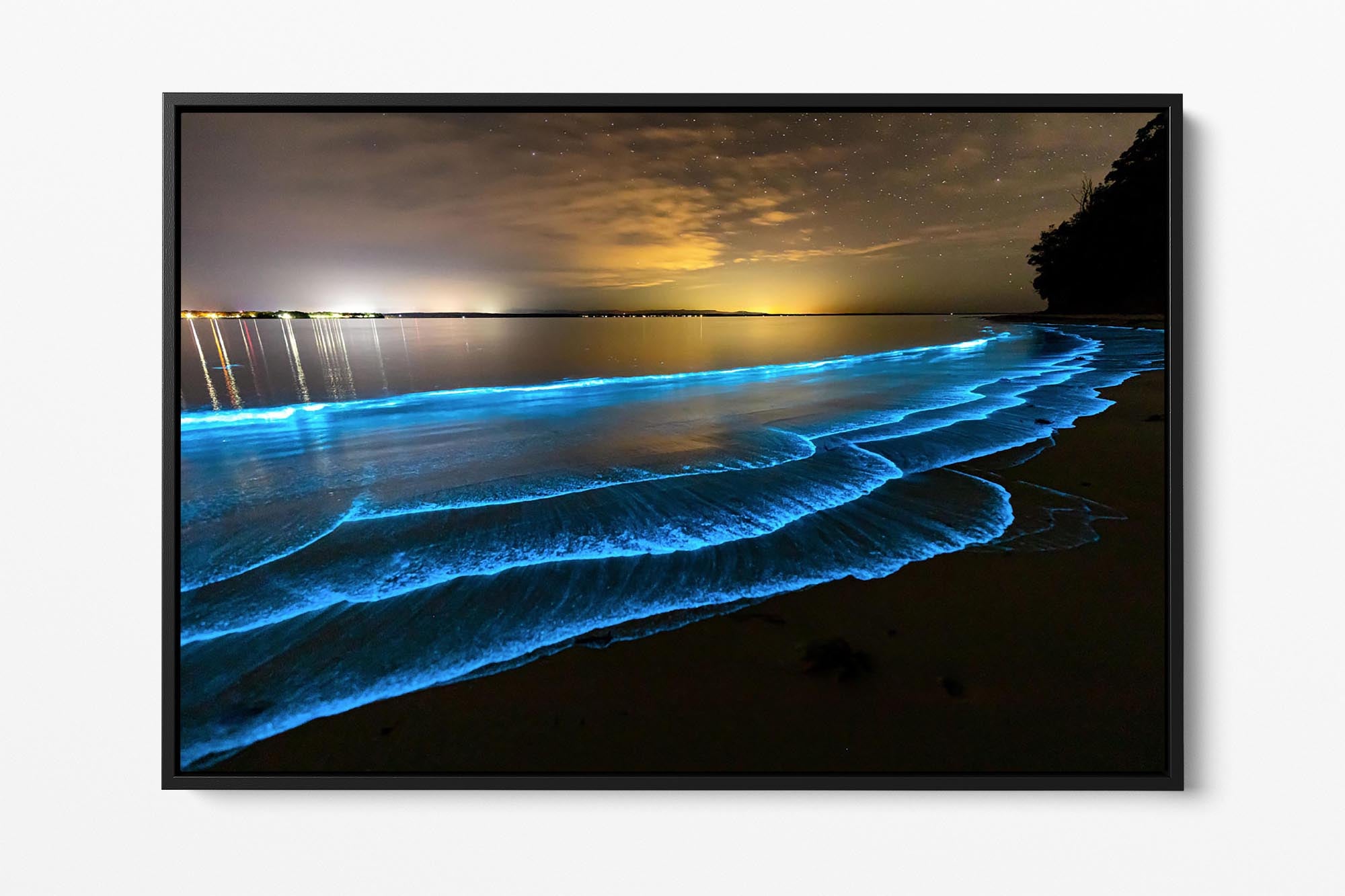 Bioluminescence | Jervis Bay