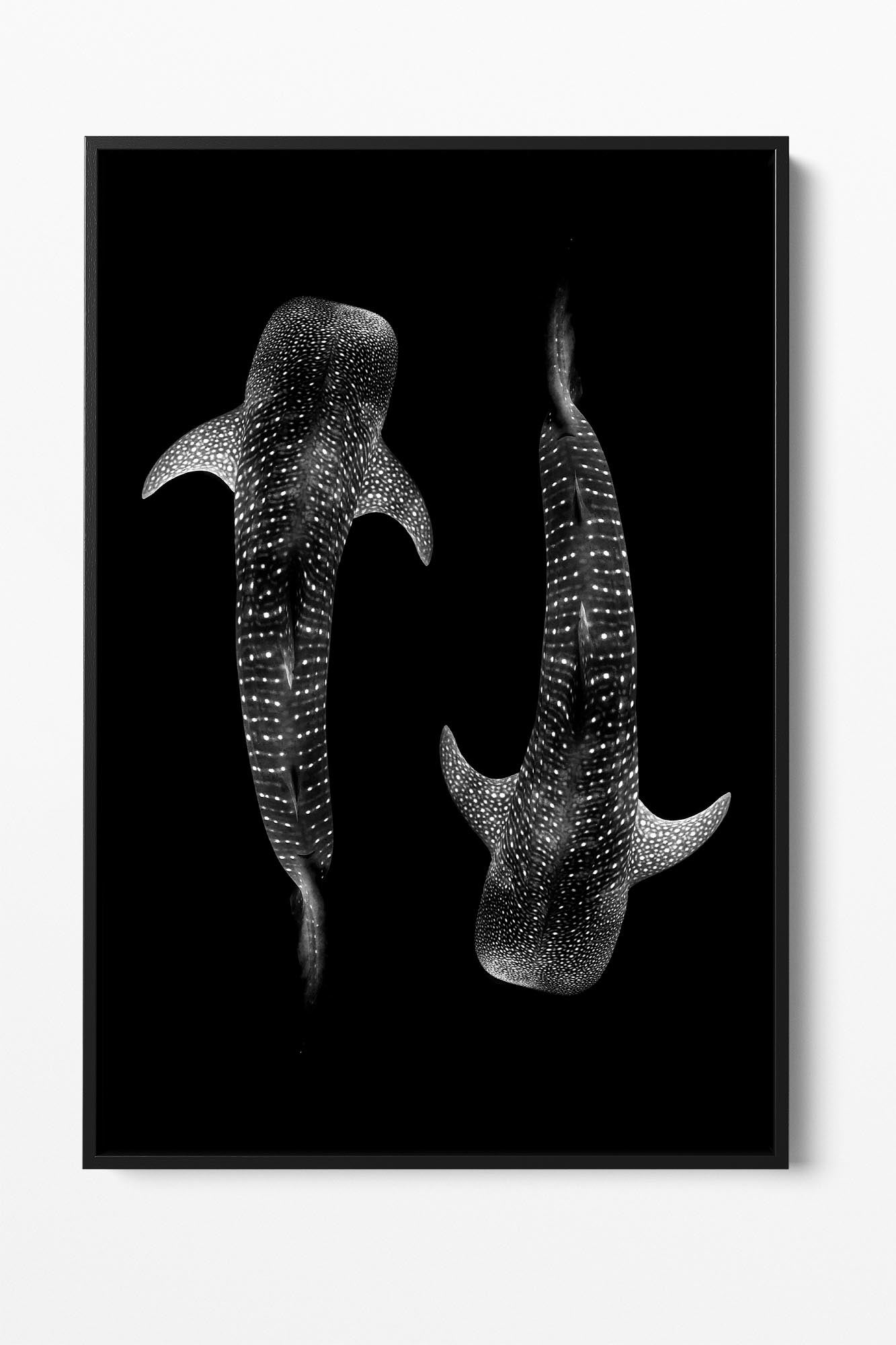Yin & Yang Whale Shark | Vertical