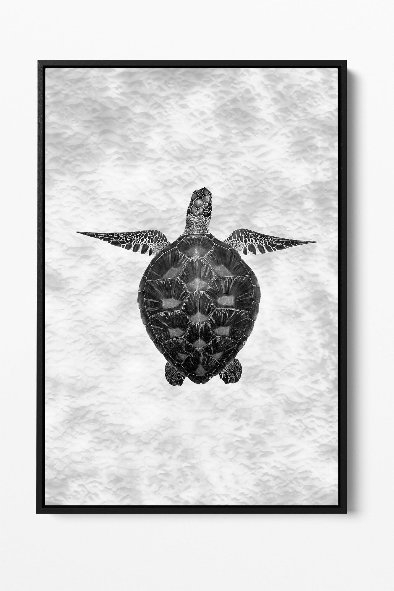 Green Sea Turtle Clarity Monochrome | Vertical