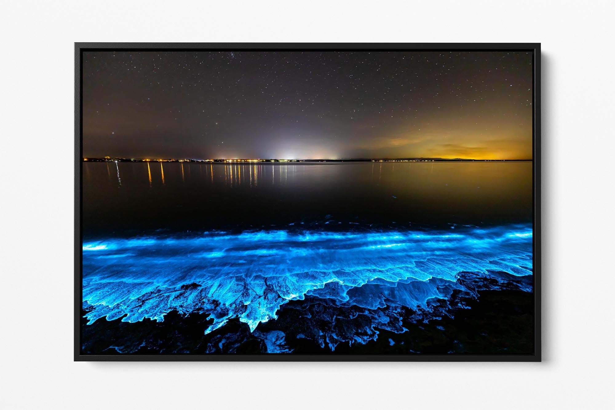 Electric Blue Bio | Jervis Bay