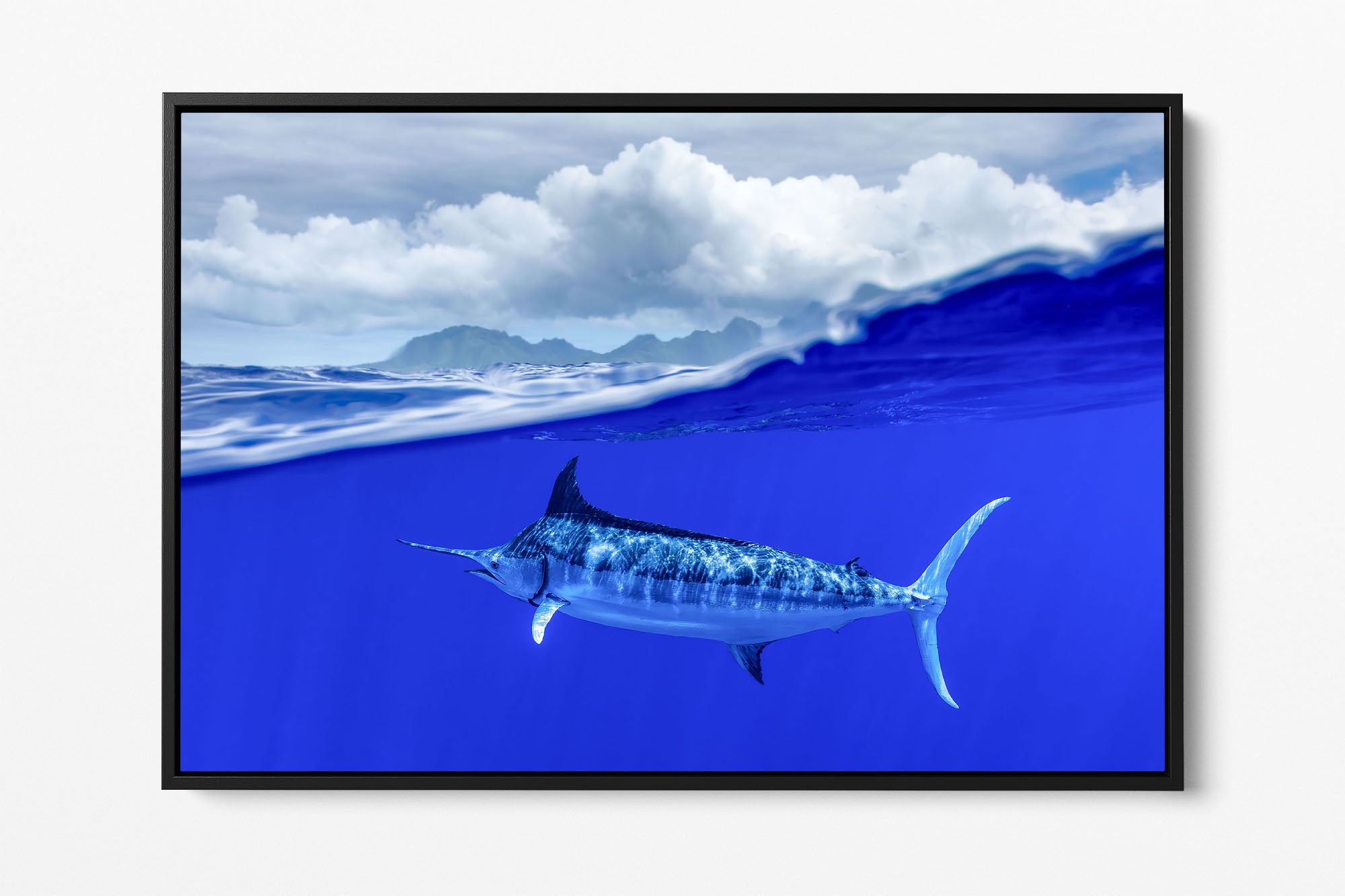 Over Under Blue Marlin