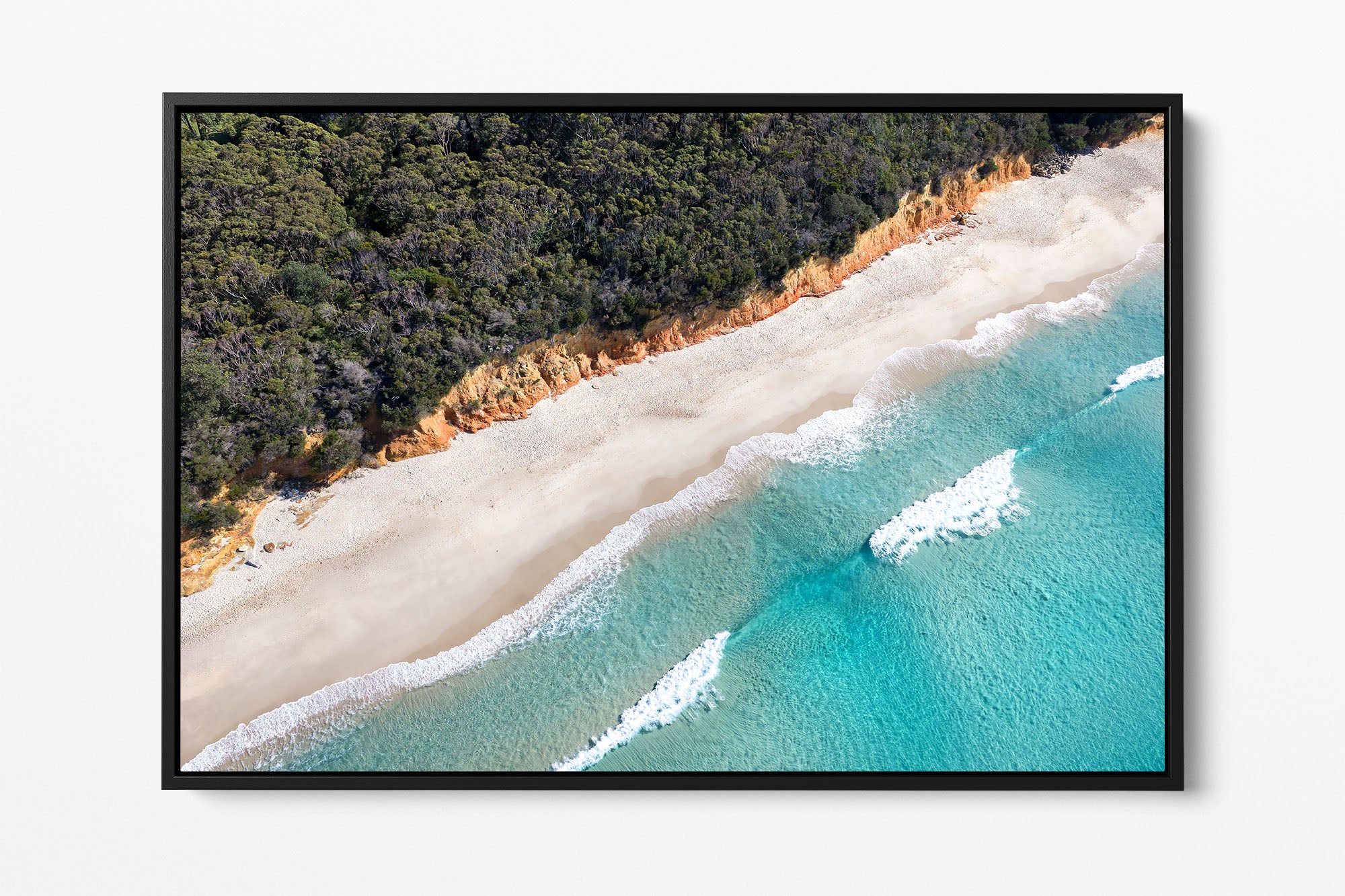 Nelsons Beach Bush Meets The Sea | Jervis Bay