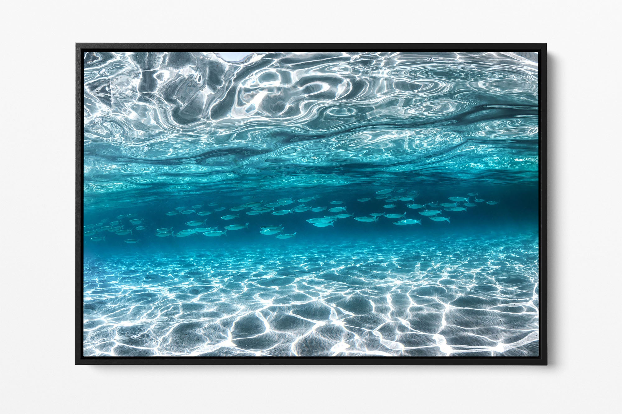 School of Fish Clarity | Jervis Bay