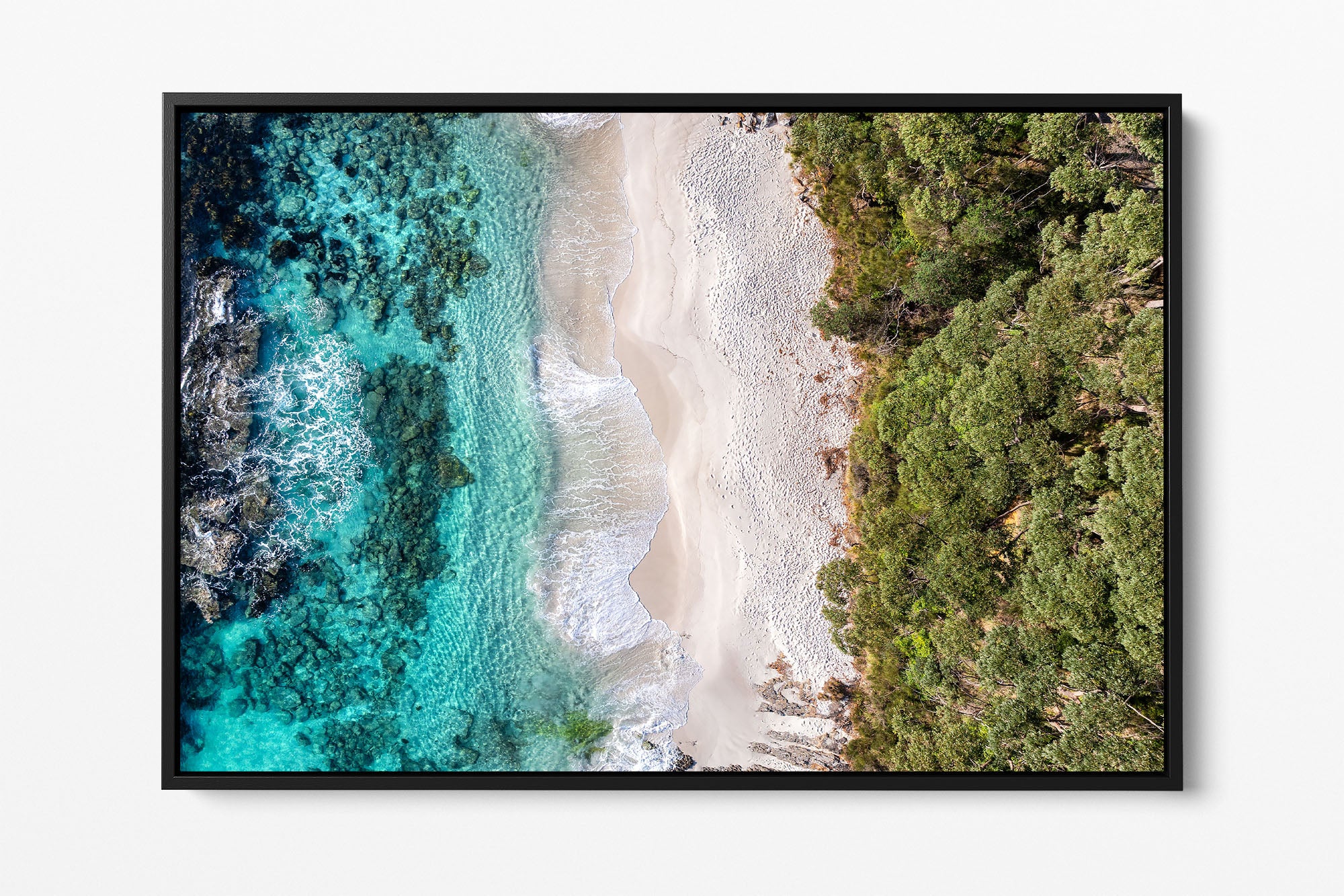 Landscape | Trees to The Sea | Jervis Bay