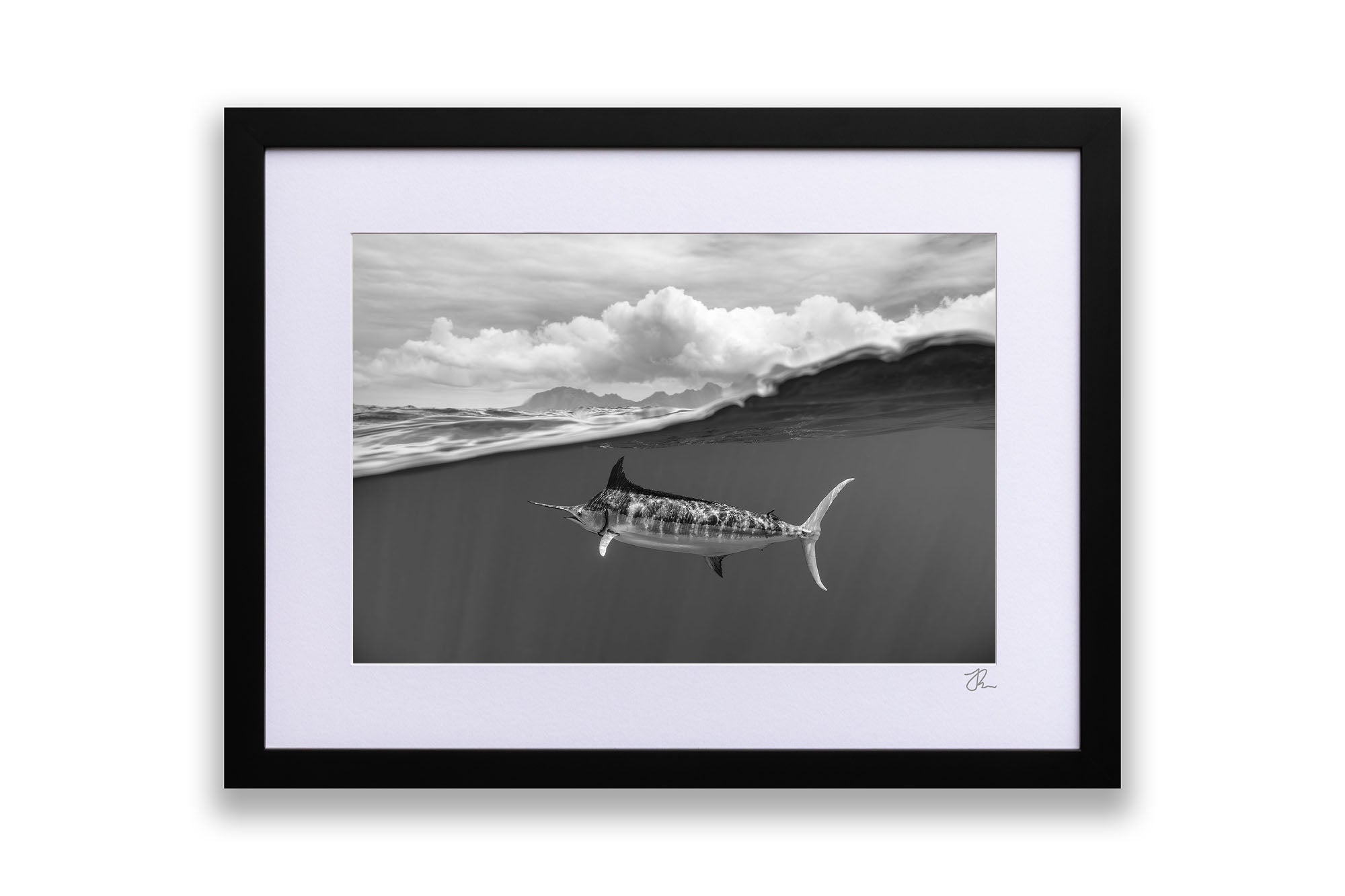 Blue Marlin Monochrome