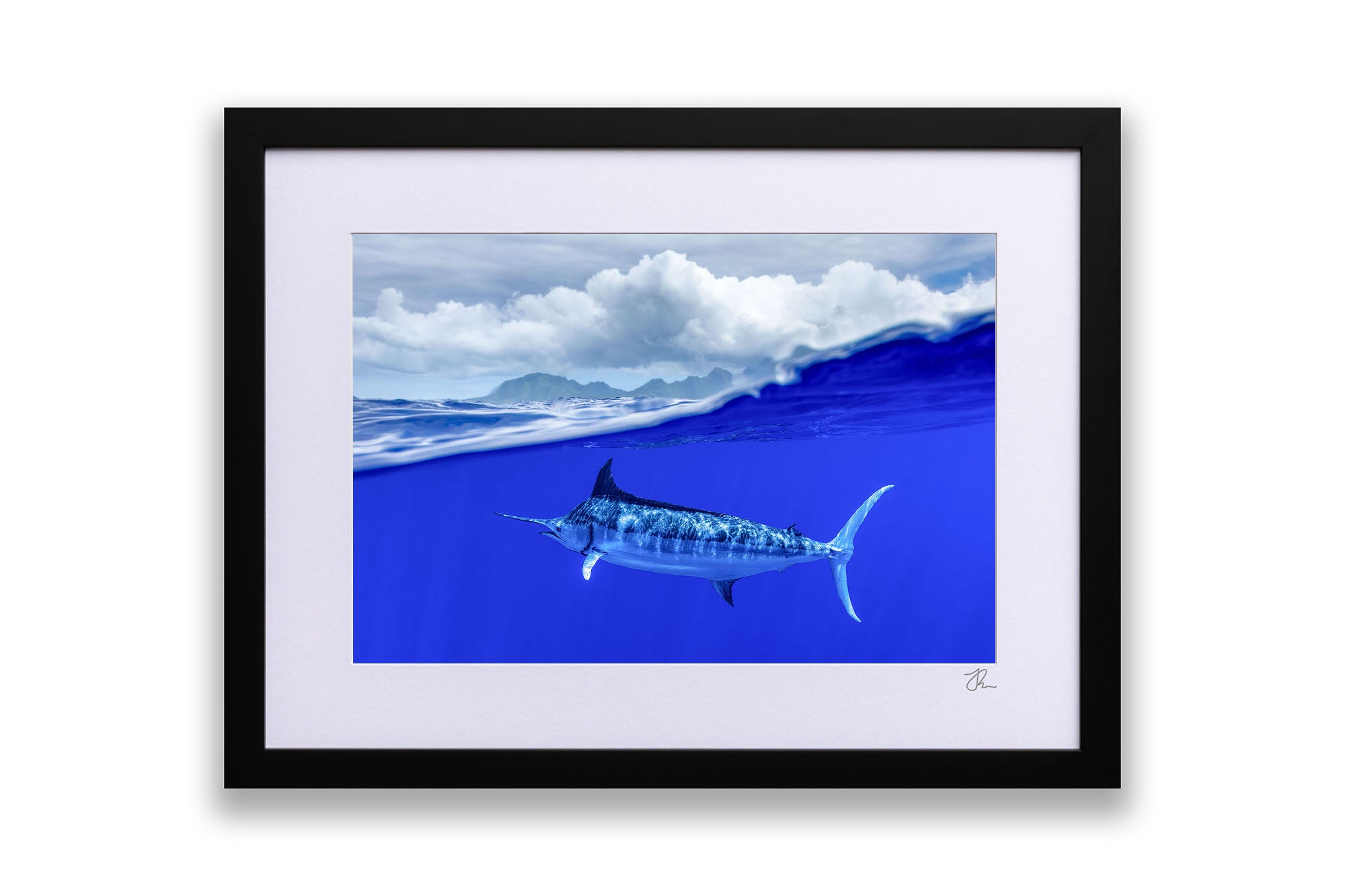 Over Under Blue Marlin