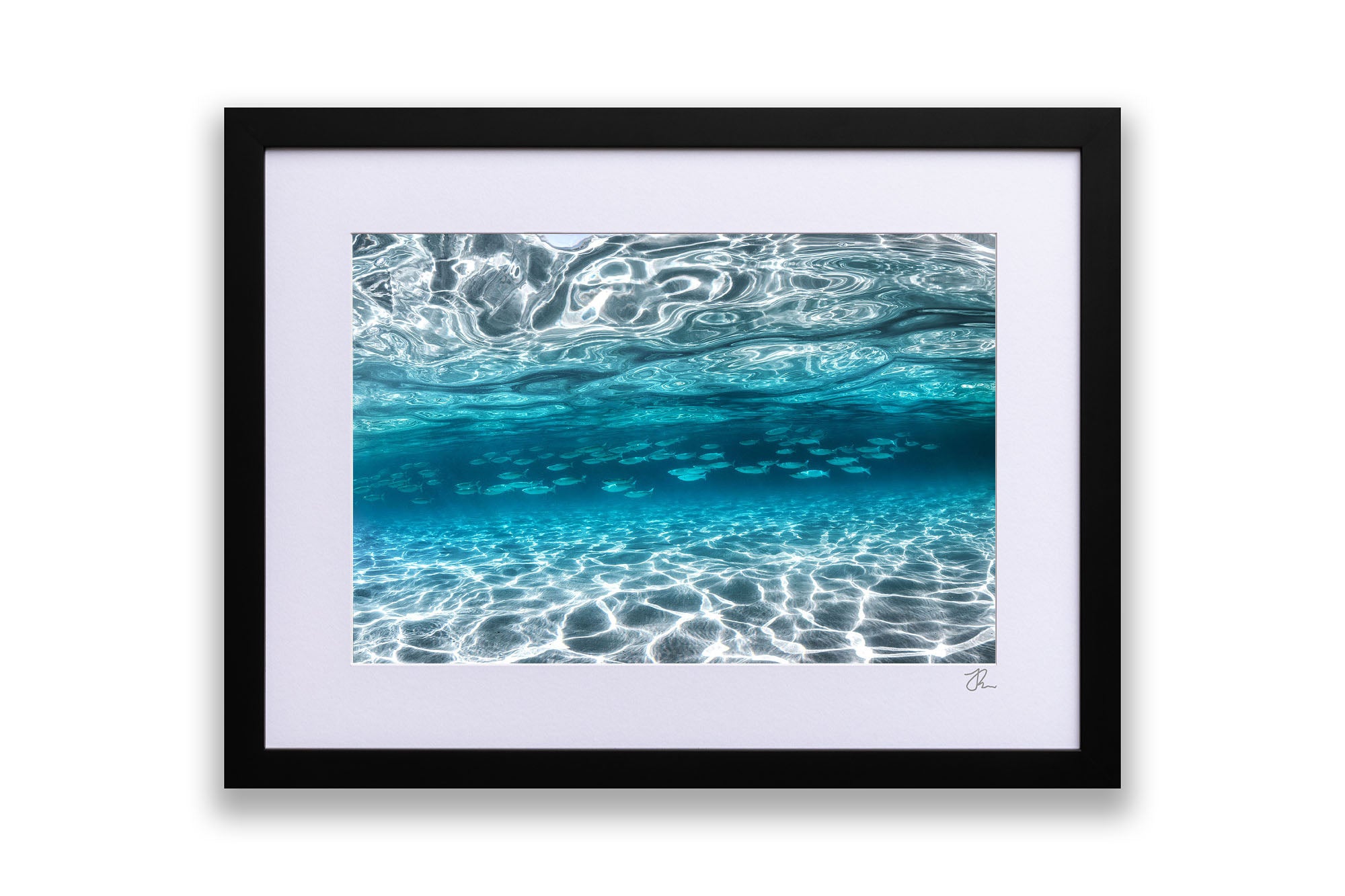 School of Fish Clarity | Jervis Bay