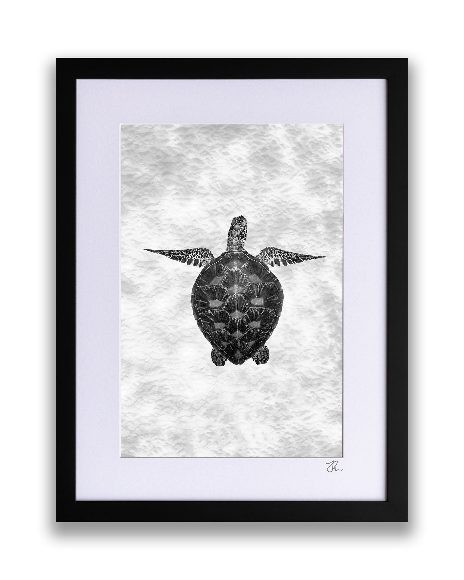 Green Sea Turtle Clarity Monochrome | Vertical