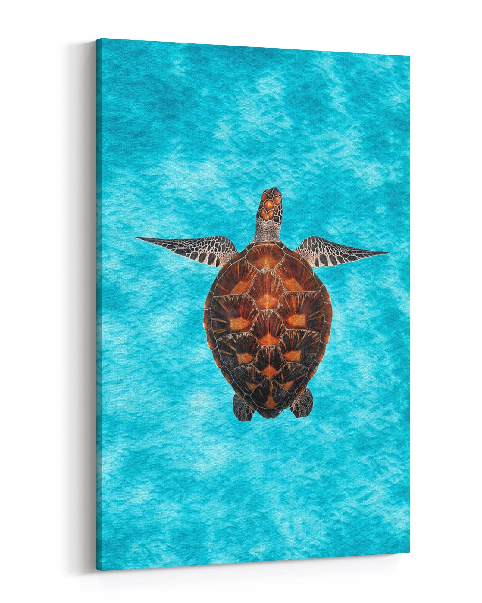 Green Sea Turtle Clarity | Vertical