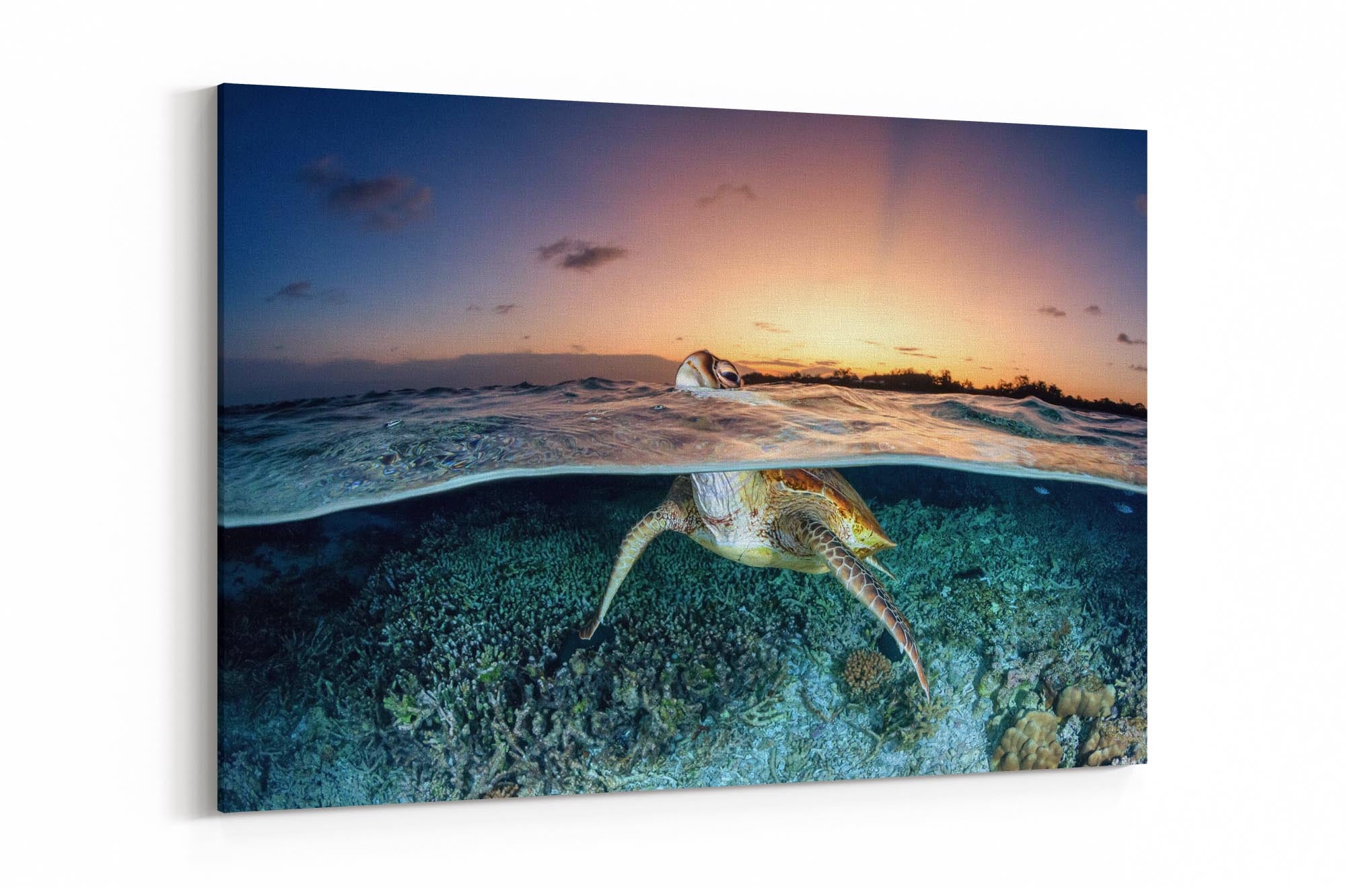 Rise Into The Sunset | Great Barrier Reef