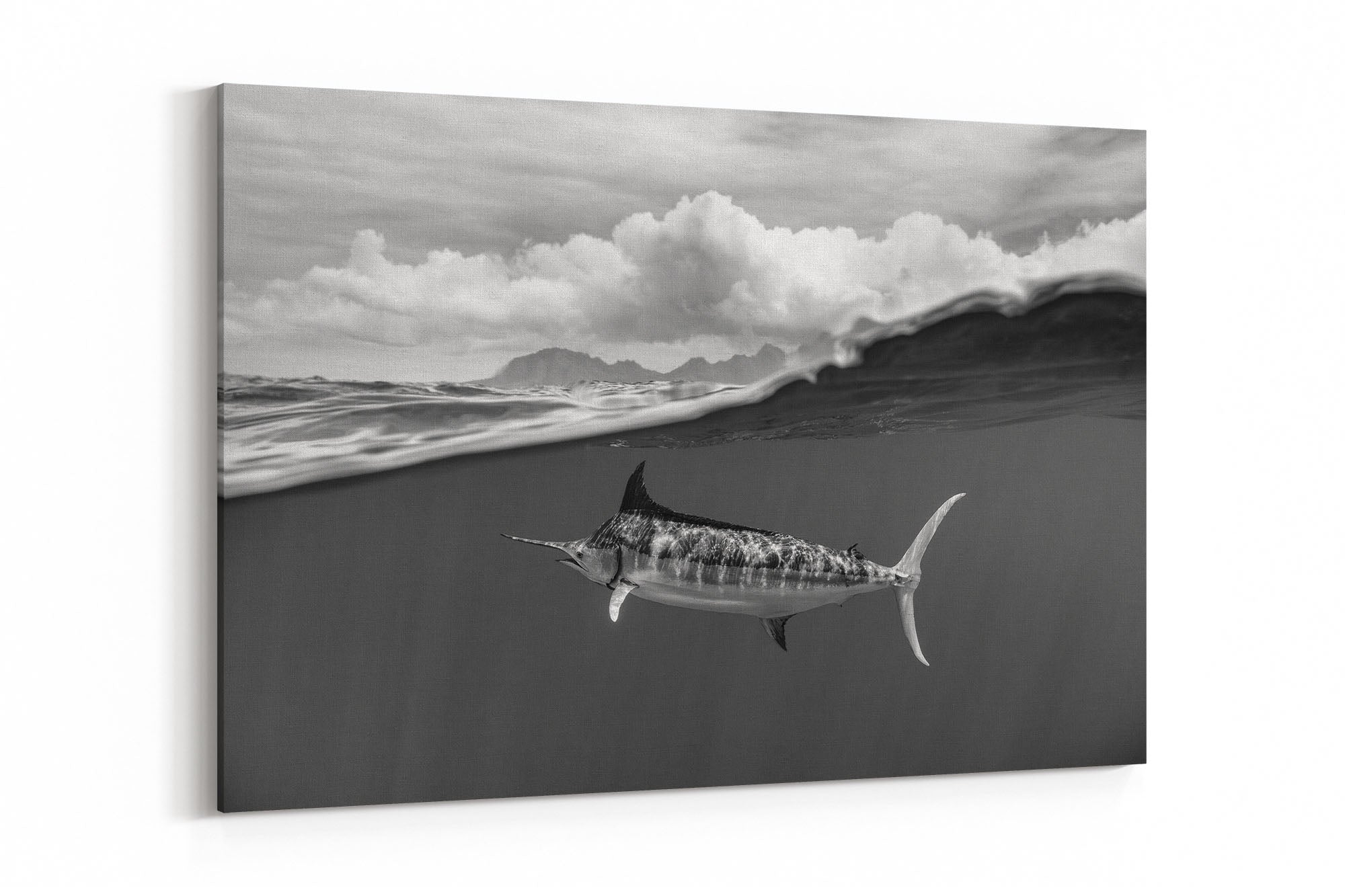 Blue Marlin Monochrome