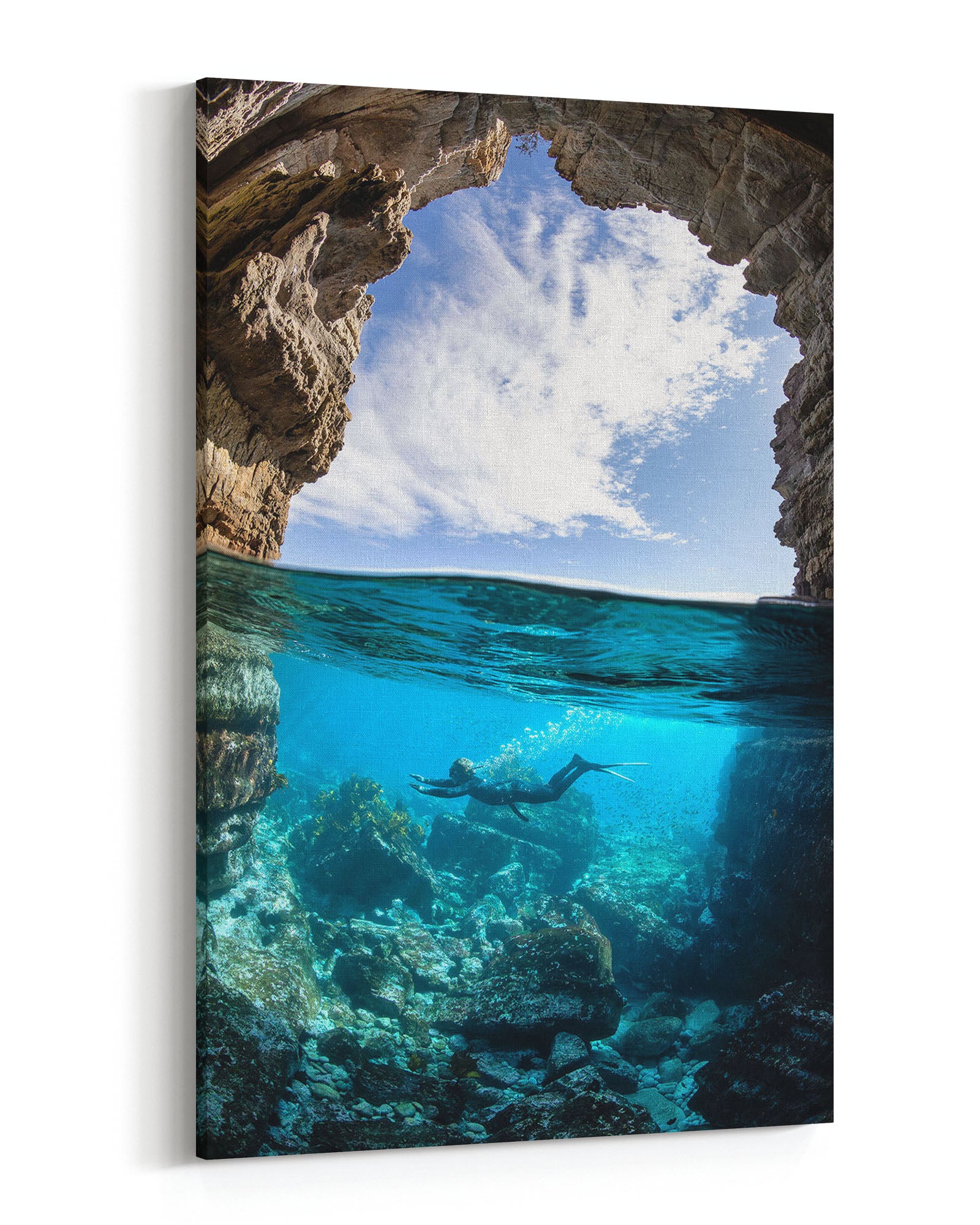 Dive In | Jervis Bay