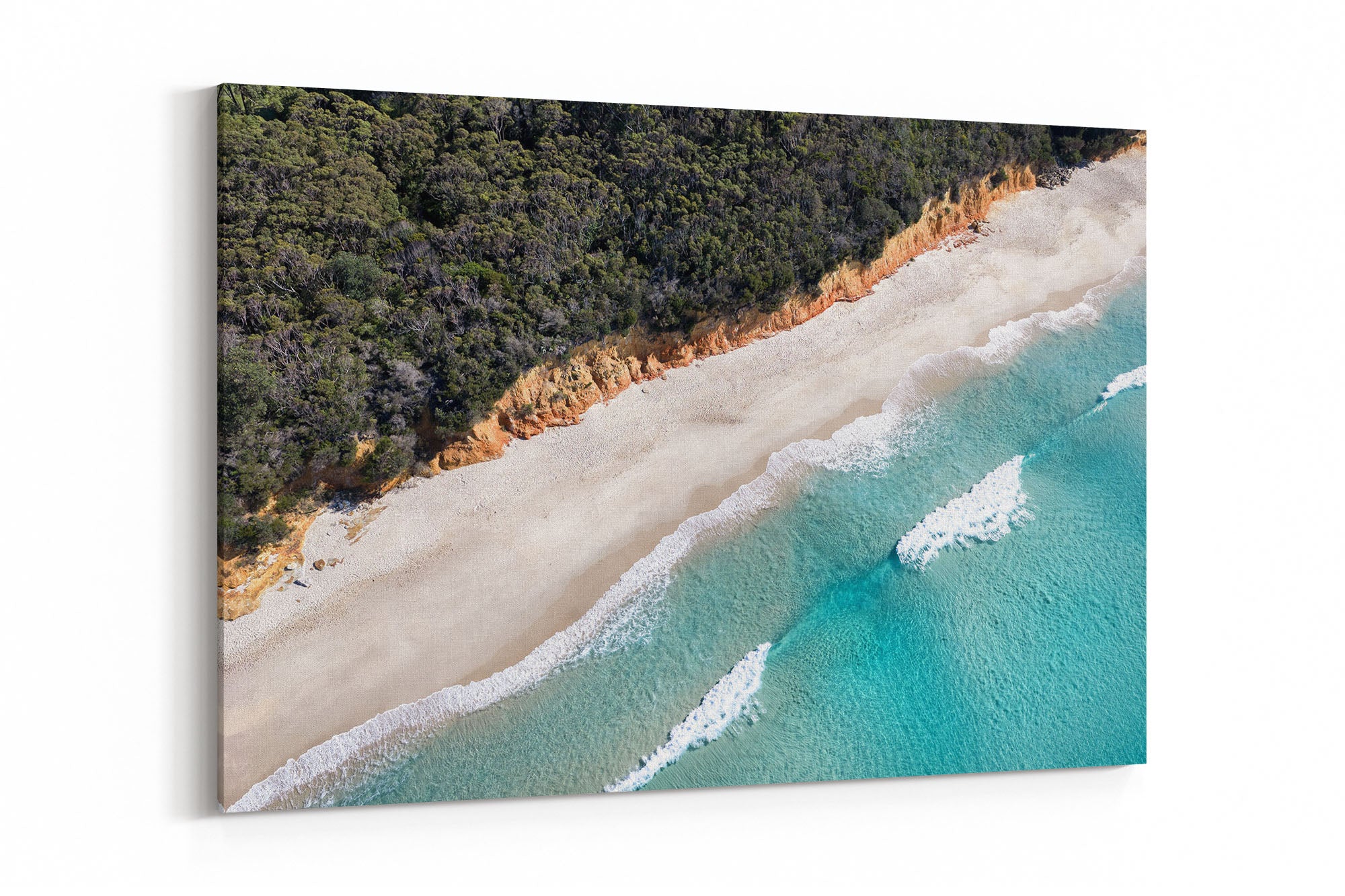 Nelsons Beach Bush Meets The Sea | Jervis Bay