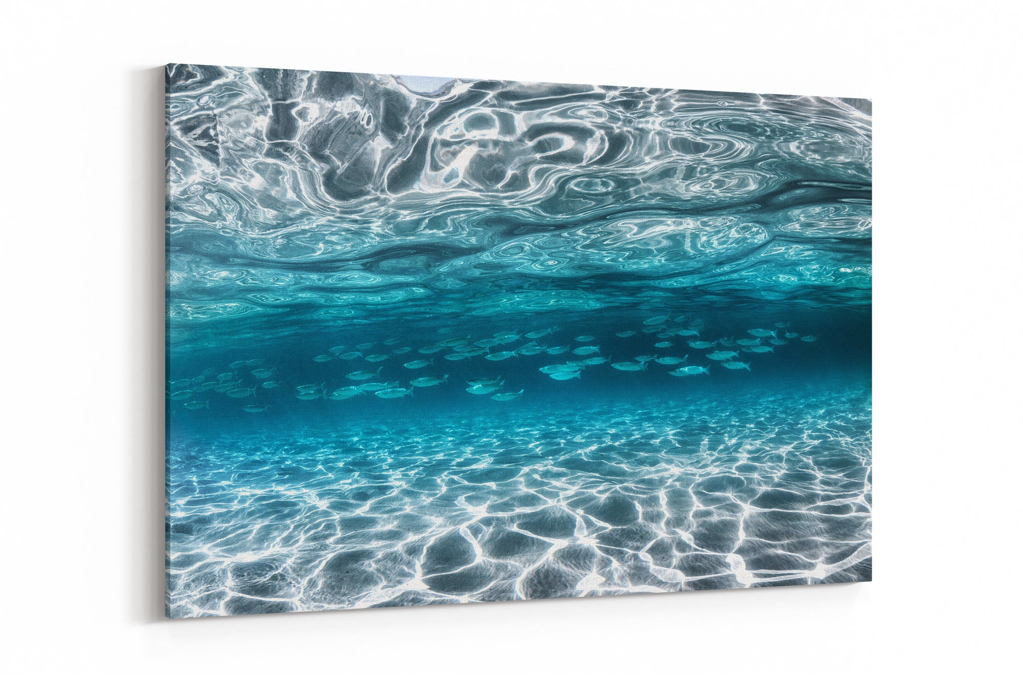 School of Fish Clarity | Jervis Bay
