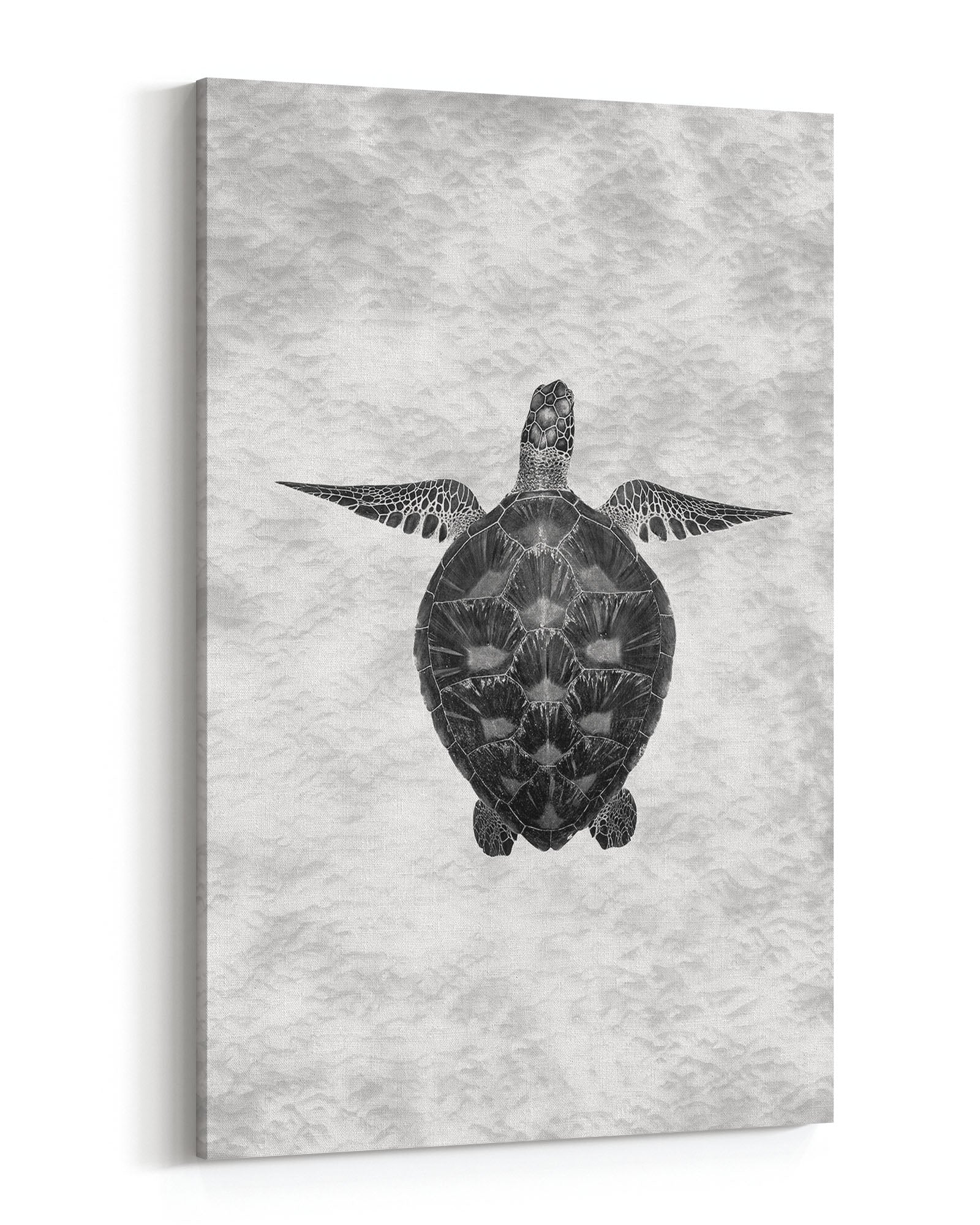 Green Sea Turtle Clarity Monochrome | Vertical