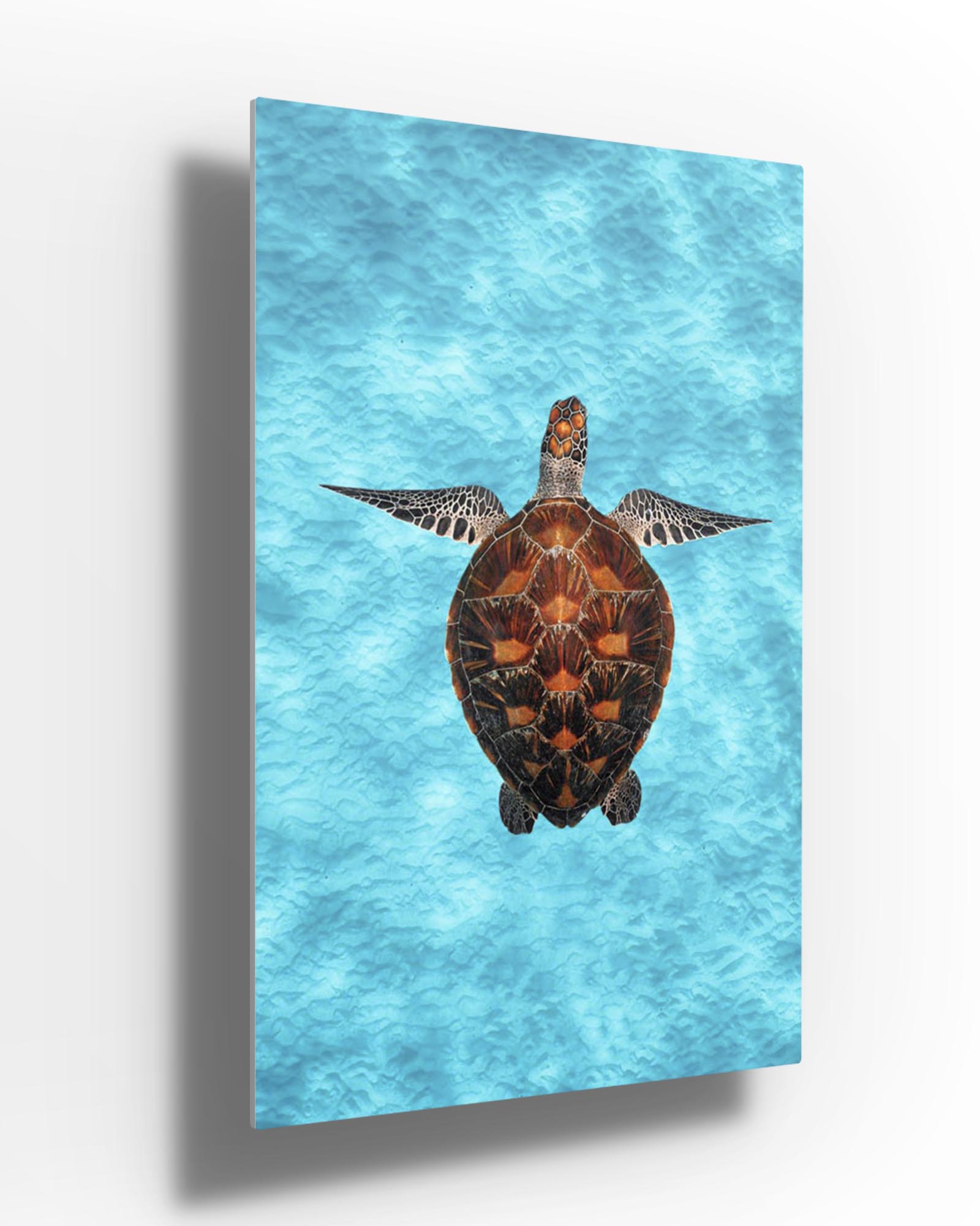 Green Sea Turtle Clarity | Vertical