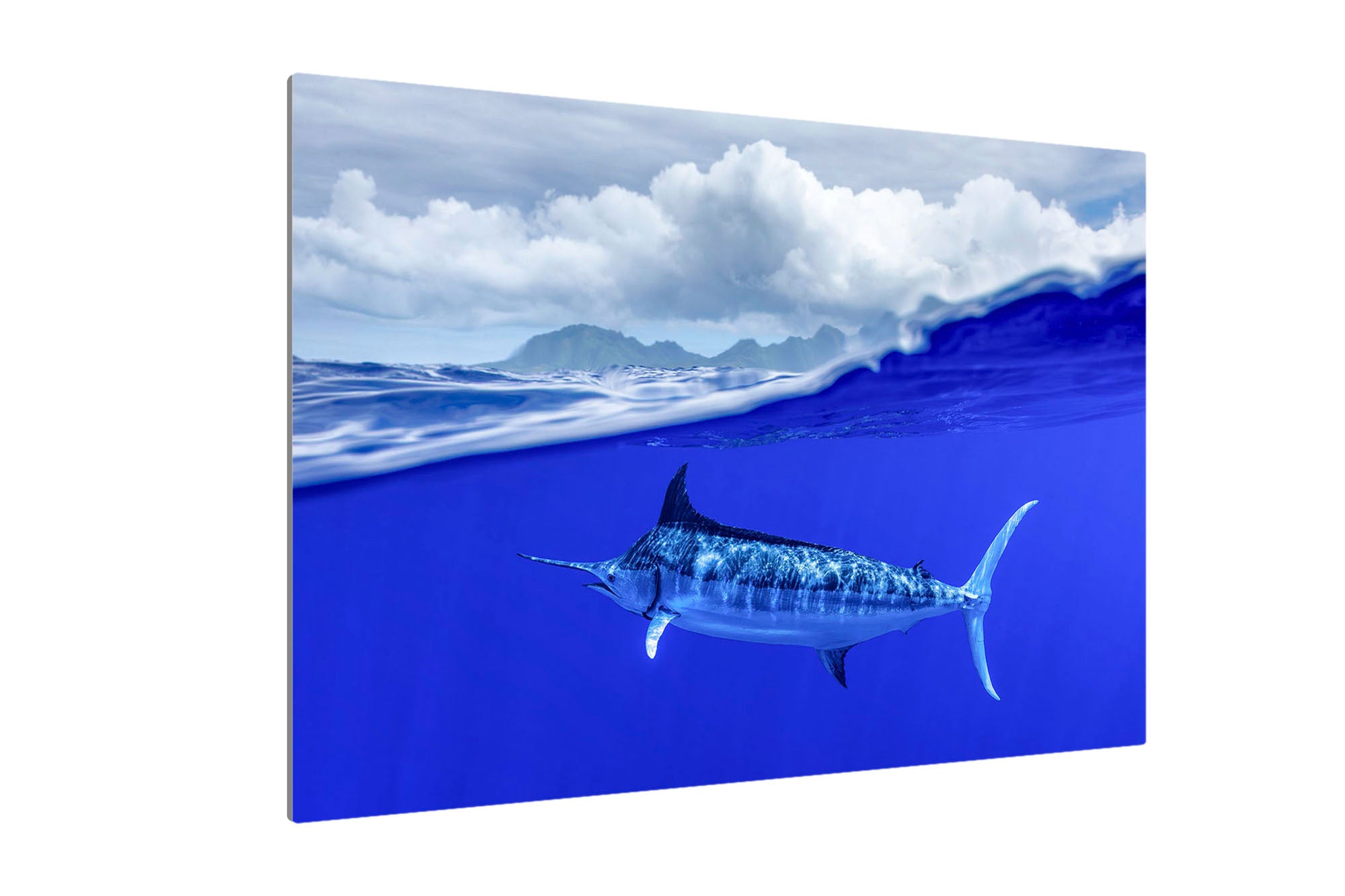 Over Under Blue Marlin