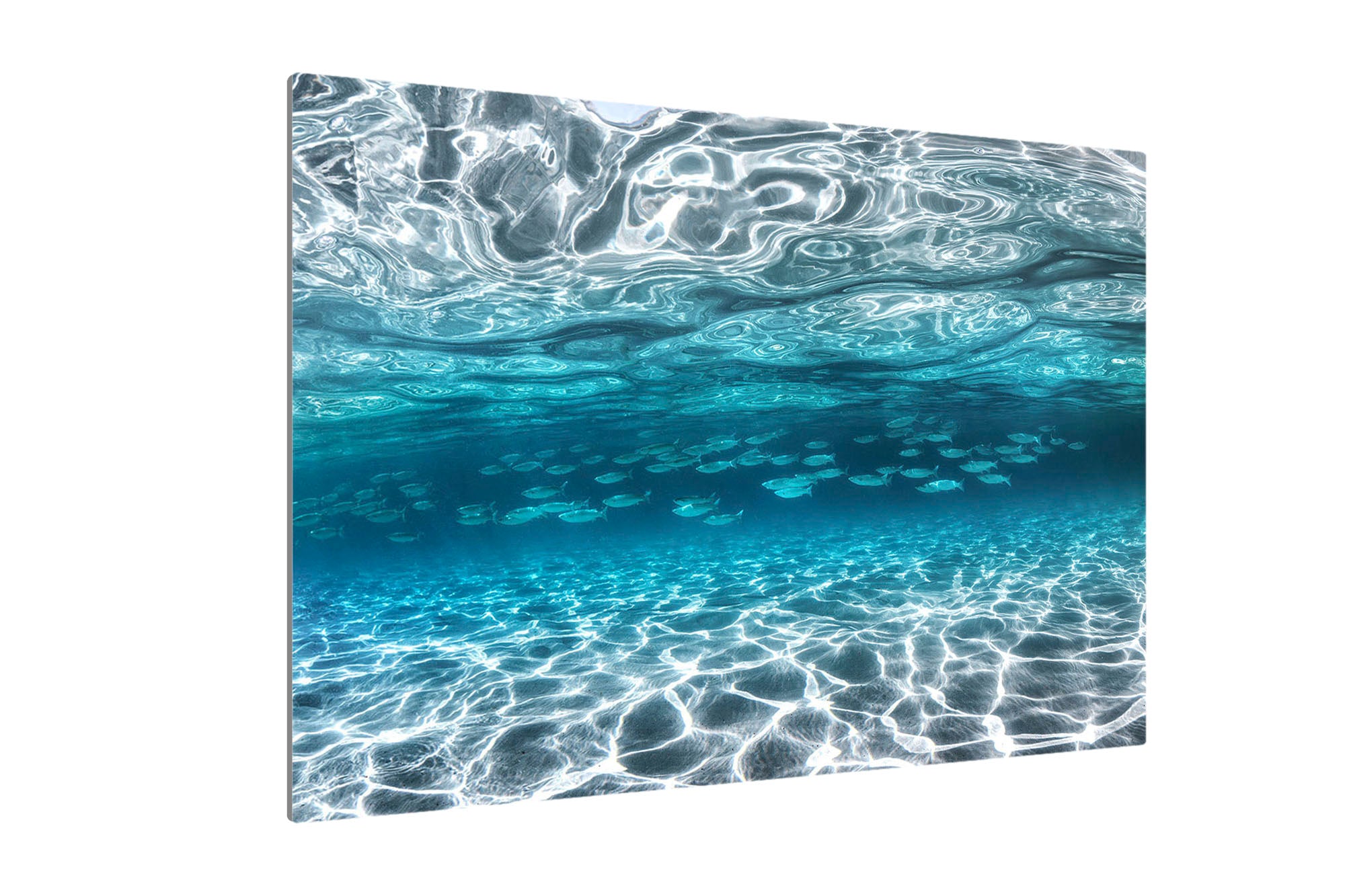 School of Fish Clarity | Jervis Bay