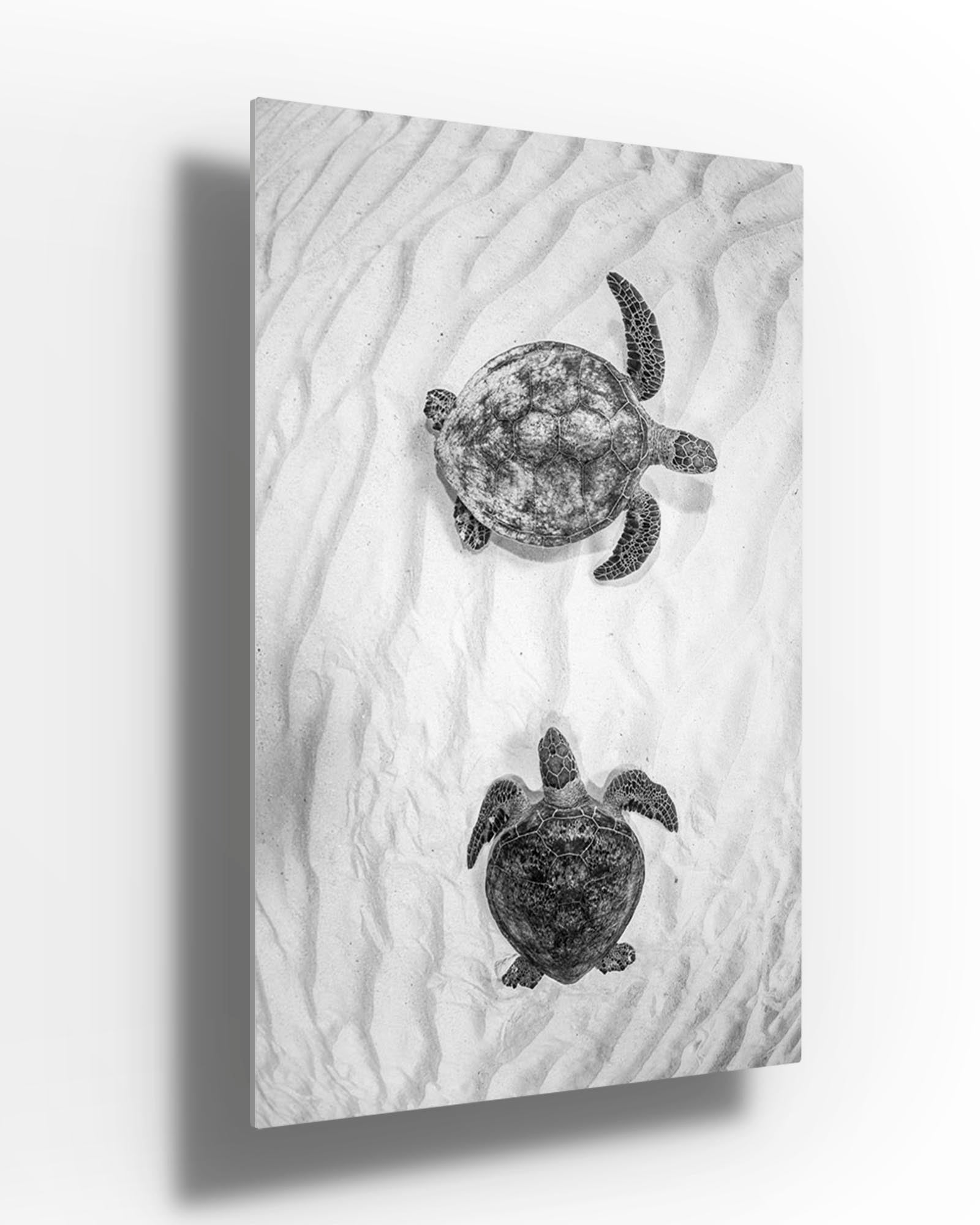 Twin Turtle Textures | Vertical