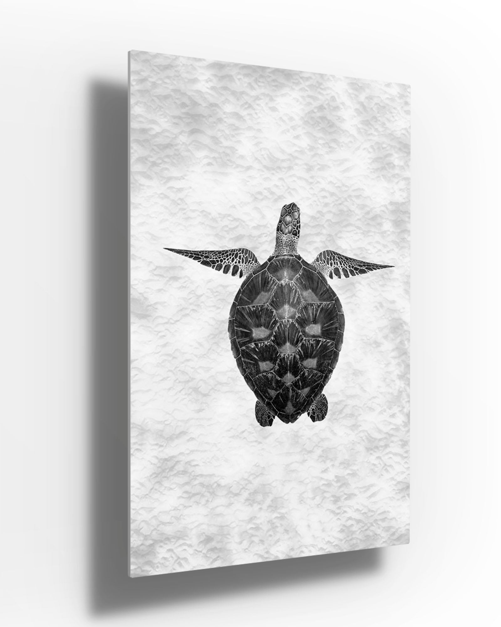 Green Sea Turtle Clarity Monochrome | Vertical