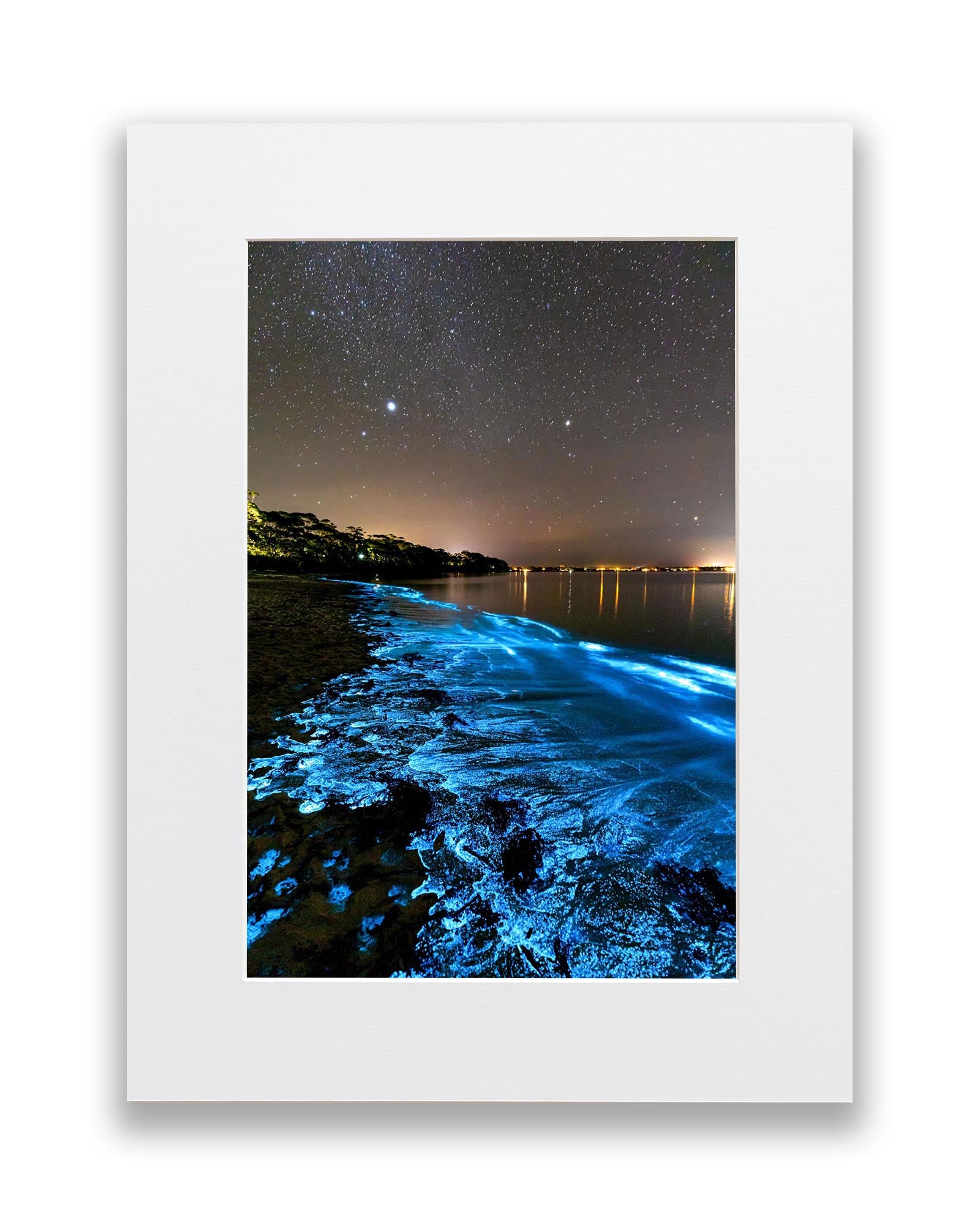 Jervis Bay Bioluminescence | Vertical