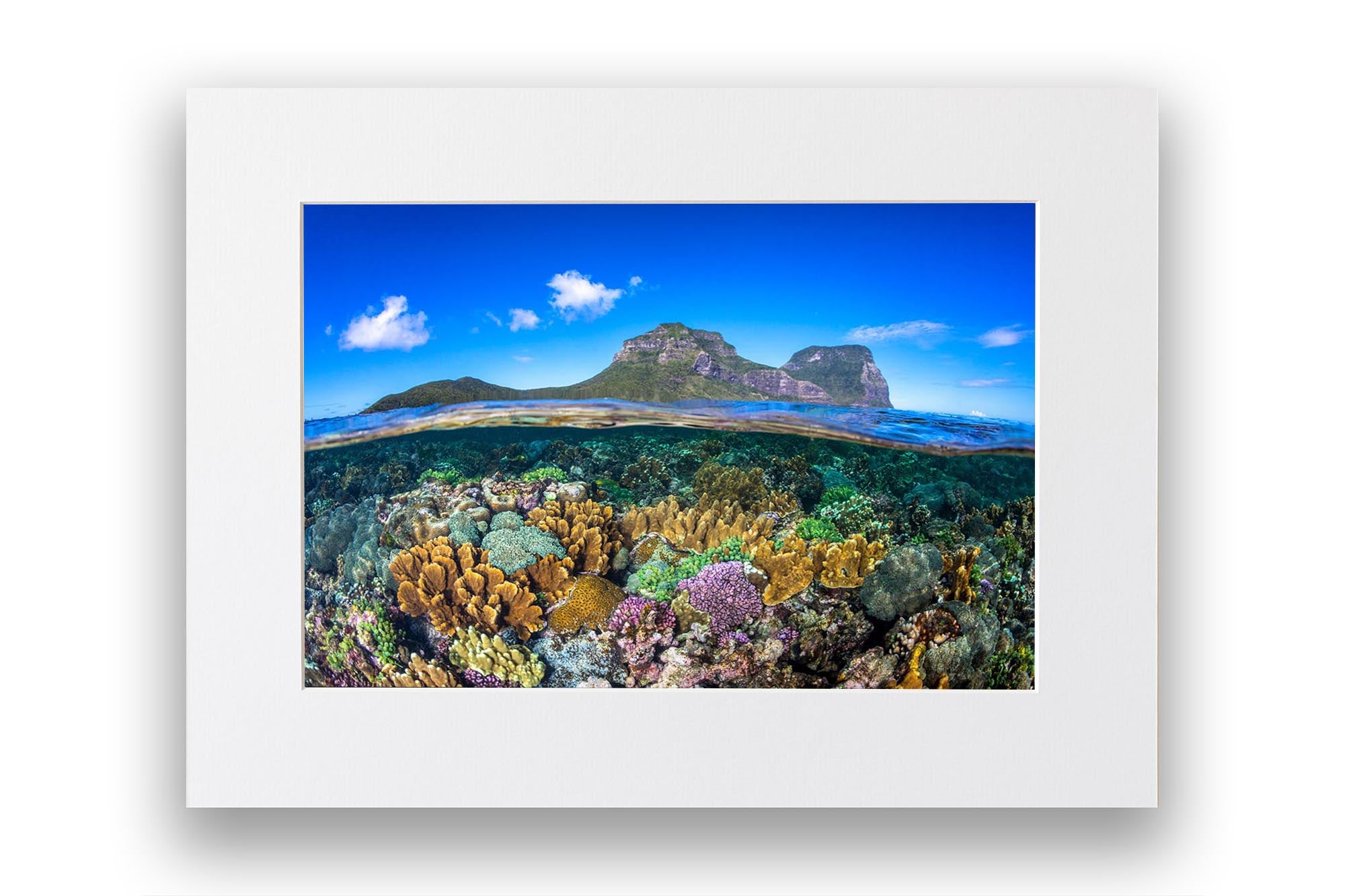 Coral Gardens | Lord Howe Island