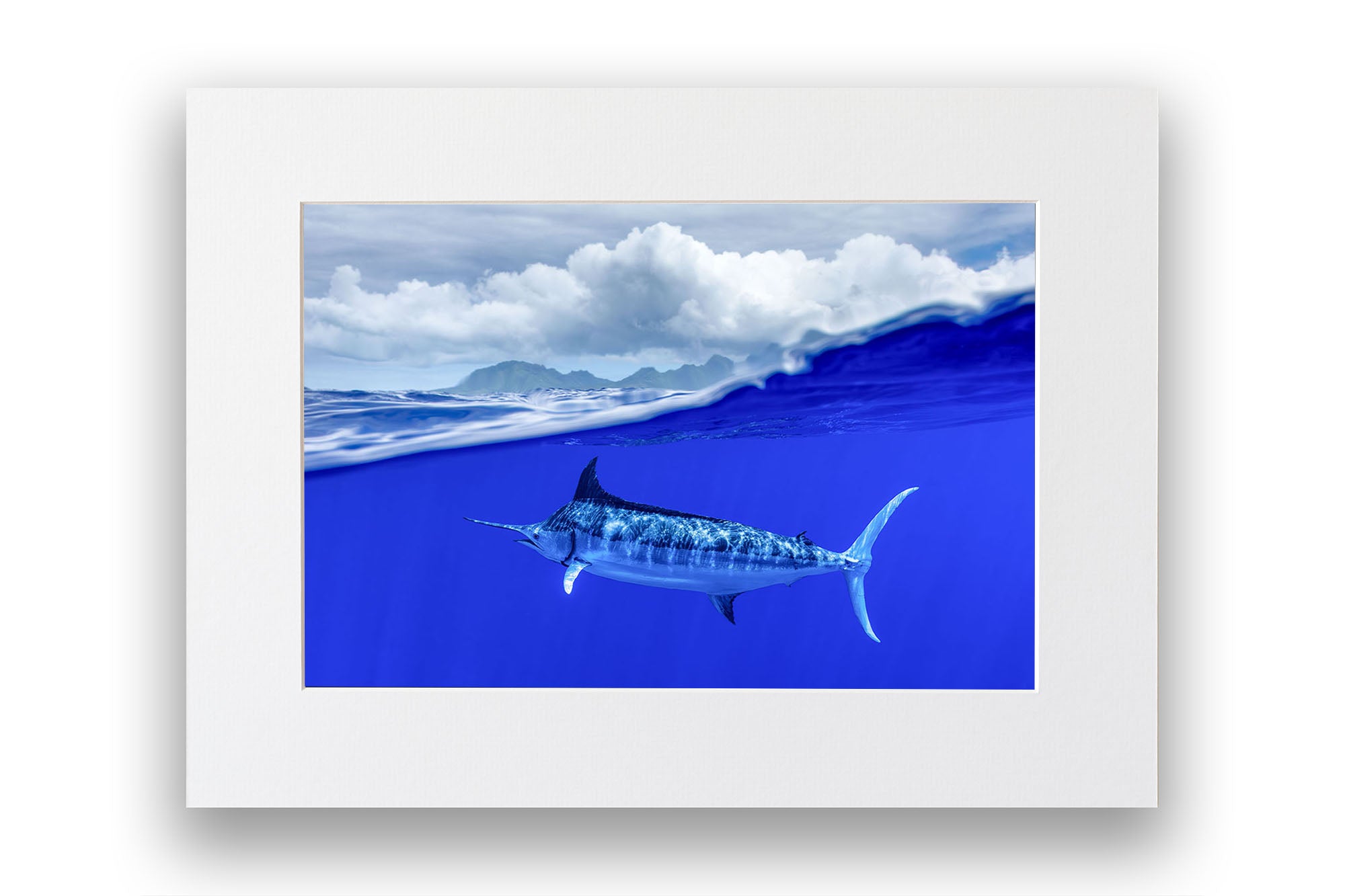 Over Under Blue Marlin