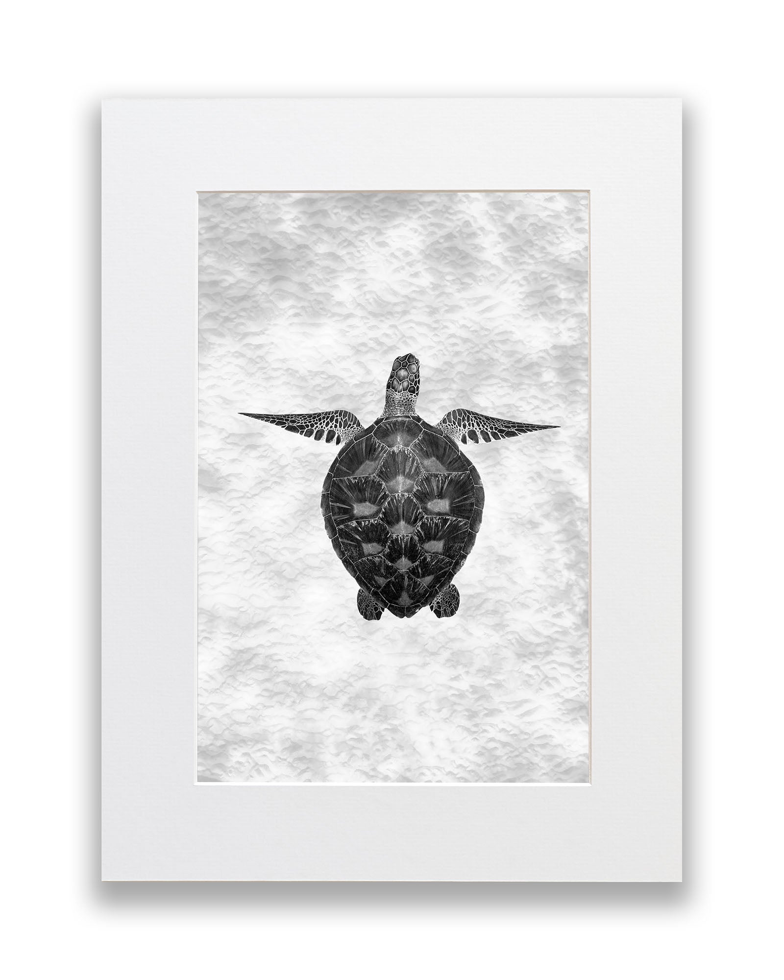Green Sea Turtle Clarity Monochrome | Vertical