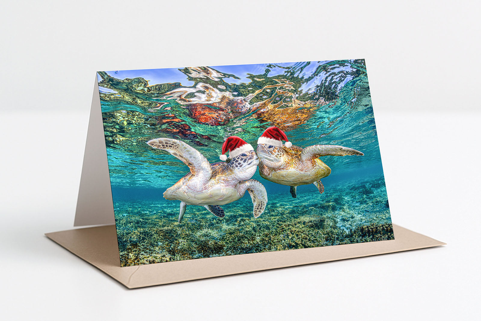 Sea Turtle Christmas Card Pack