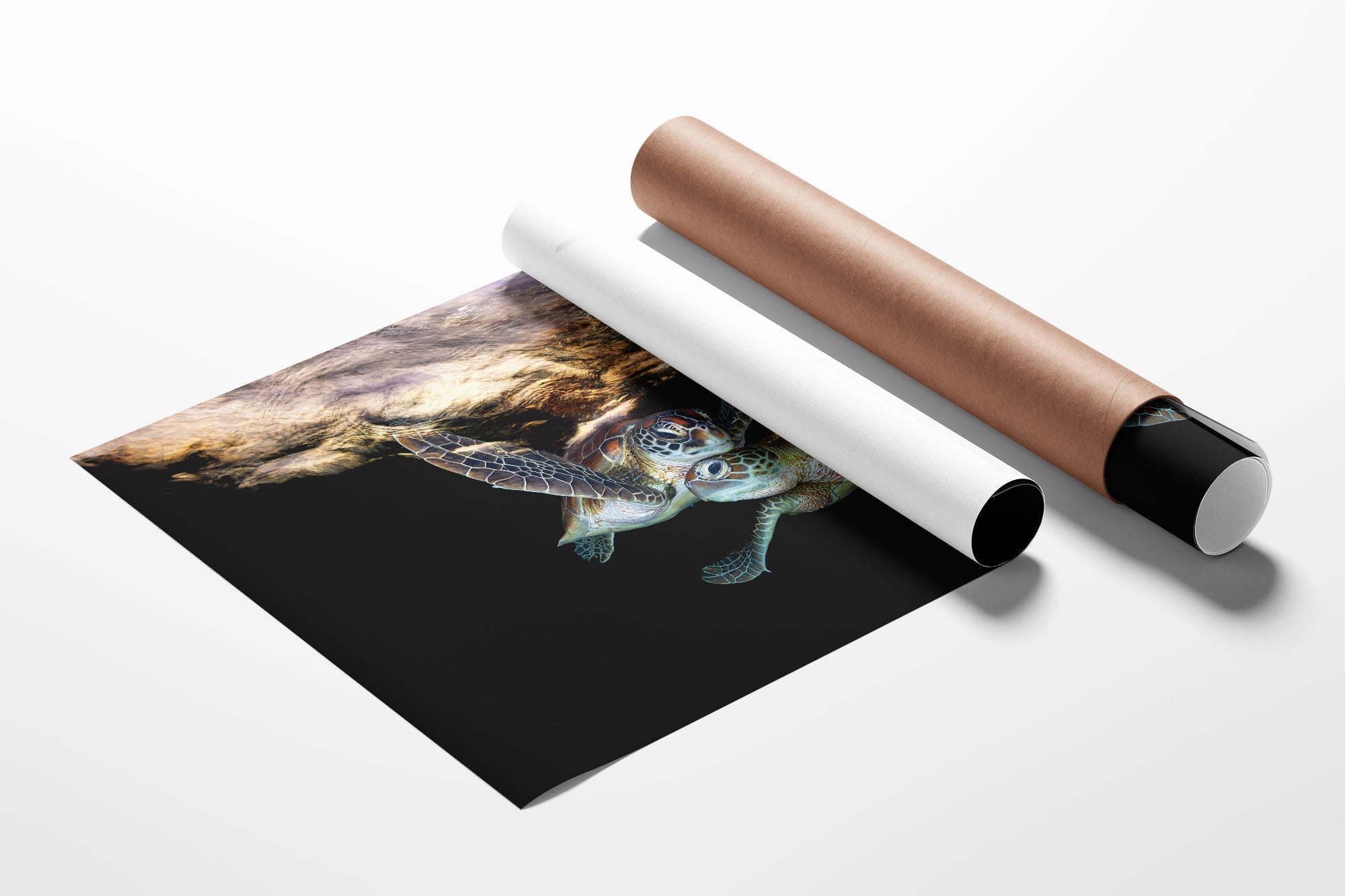 Double Trouble | Great Barrier Reef