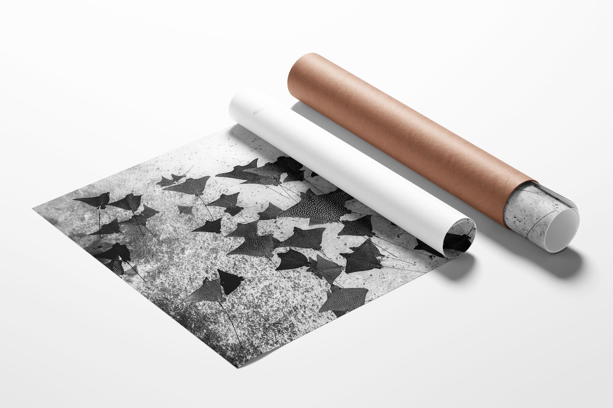 Spotted Eagle Ray Fever Monochrome