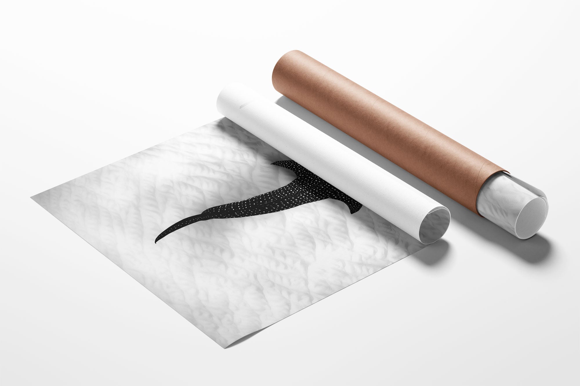 Whale Shark on the Sand Ningaloo Reef | Monochrome