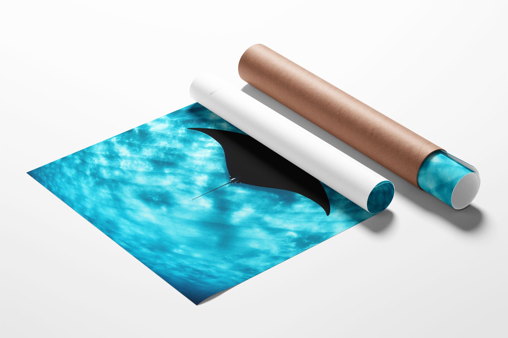 Manta Ray Vertical | Coral Bay Ningaloo Reef