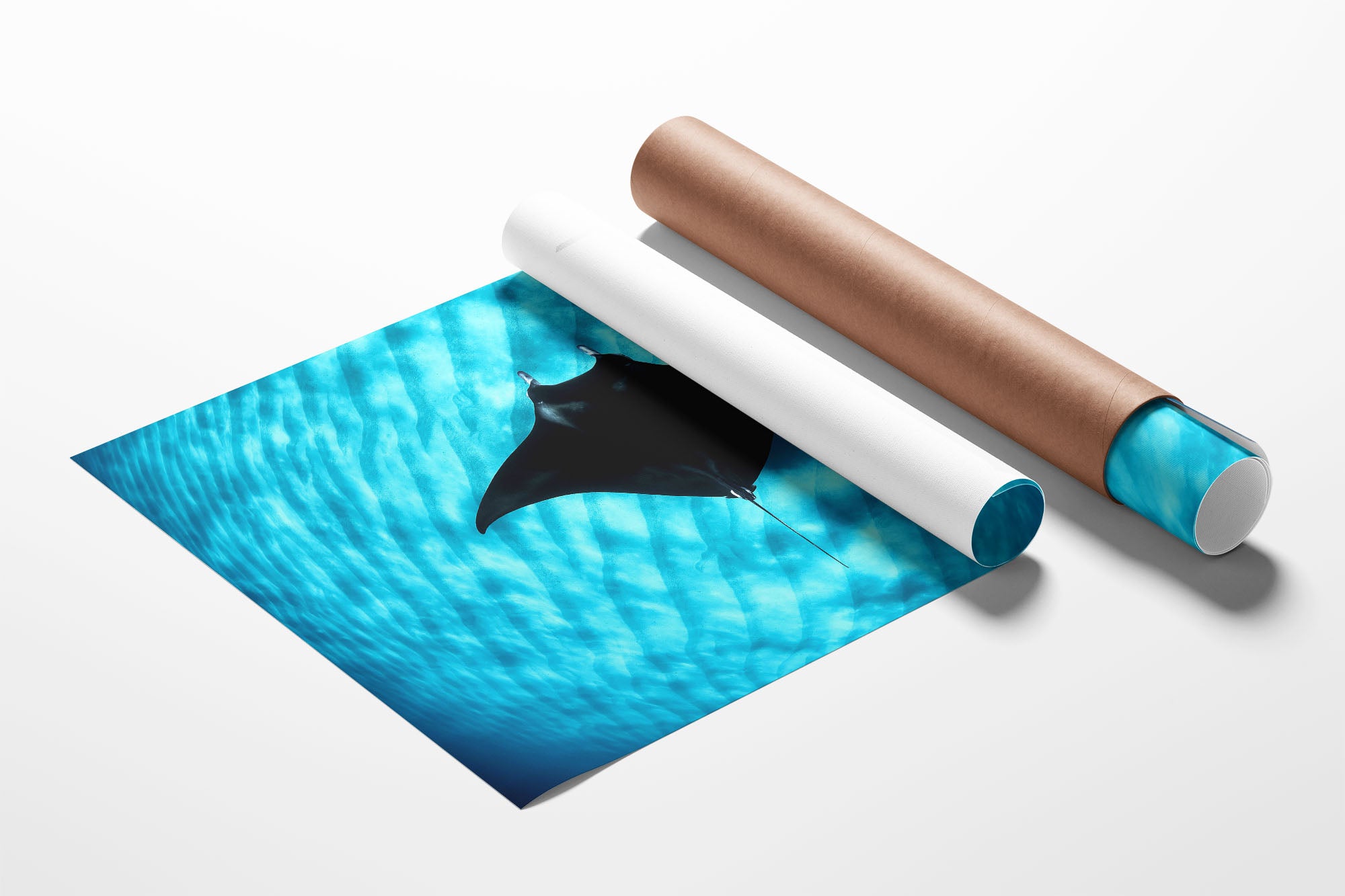 Manta Ray Coral Bay | Ningaloo Reef