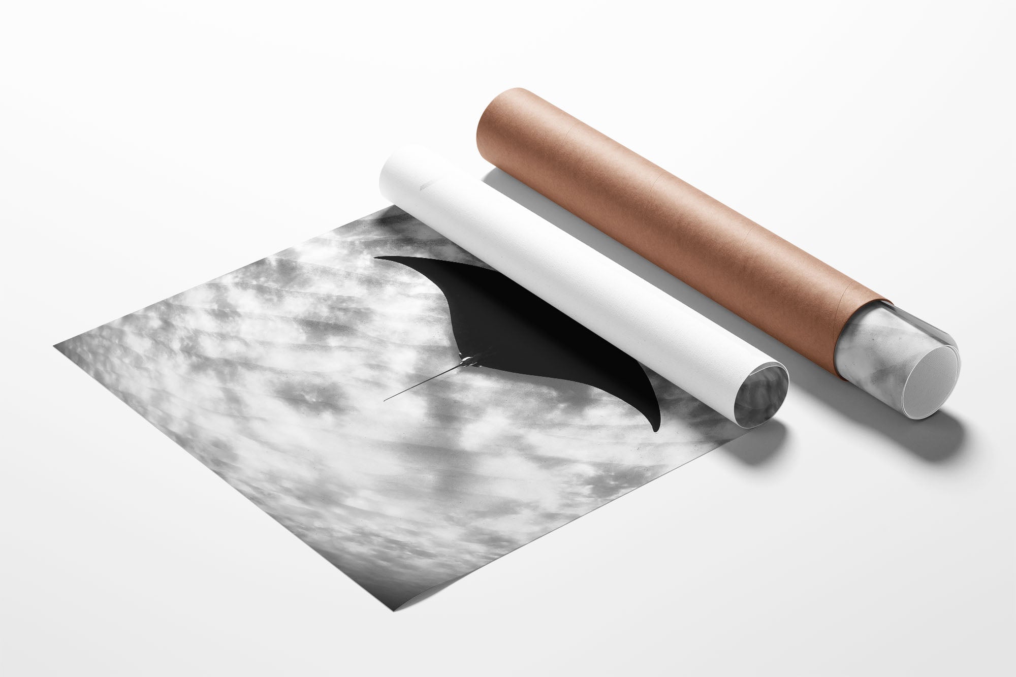 Manta Ray Vertical Monochrome | Ningaloo Reef