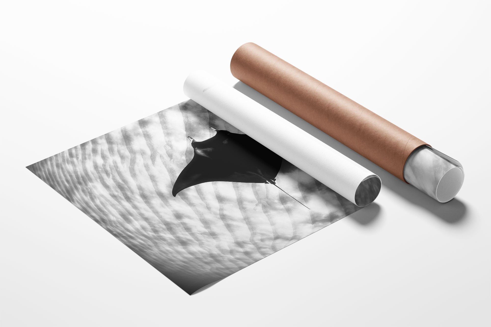 Manta Ray Coral Bay Ningaloo Reef | Monochrome