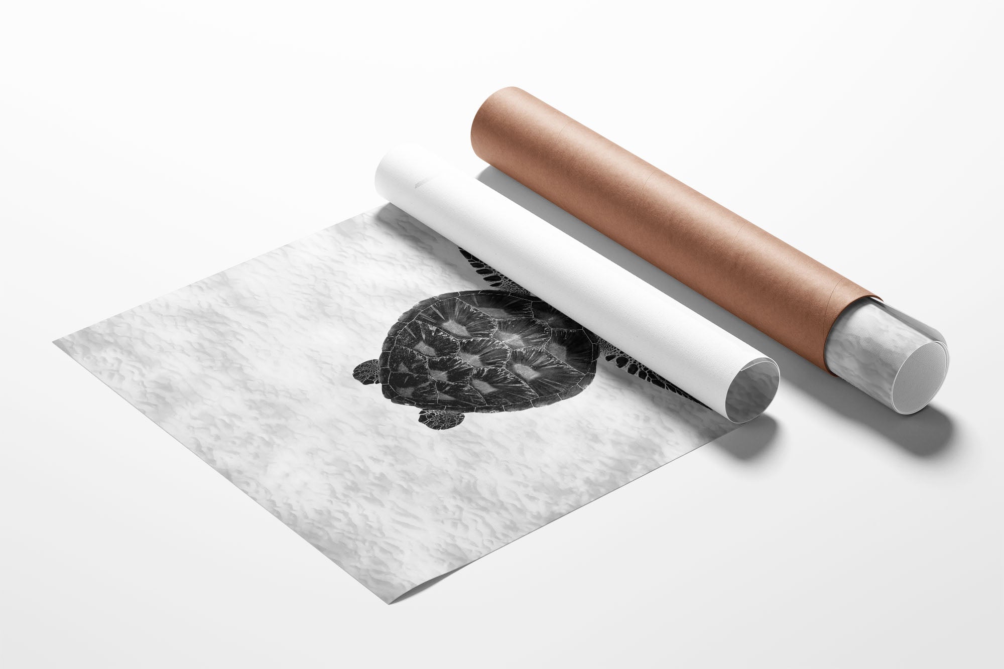 Green Sea Turtle Clarity Monochrome | Vertical