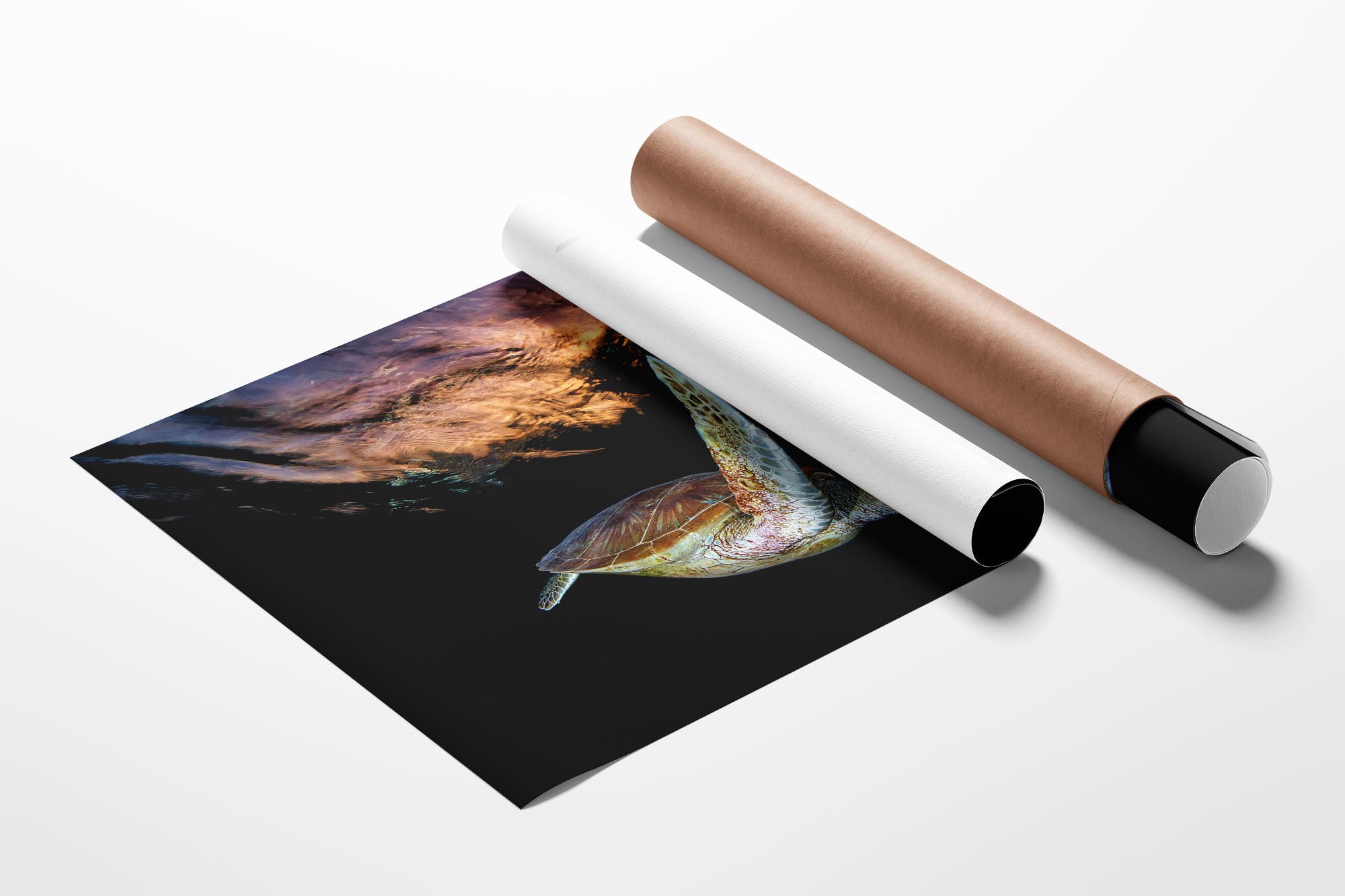 Turtle Sunset Tranquility | Great Barrier Reef