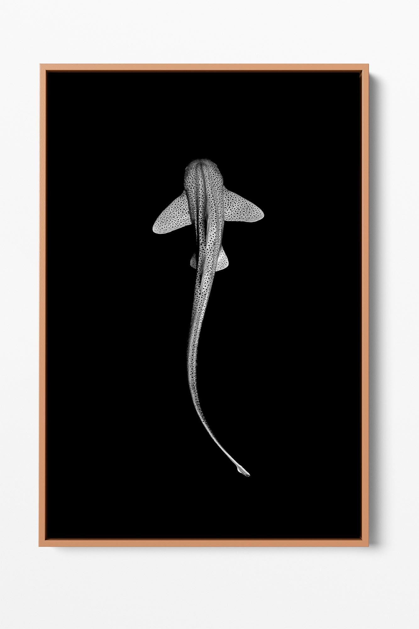 Leopard Shark Monochrome | Vertical